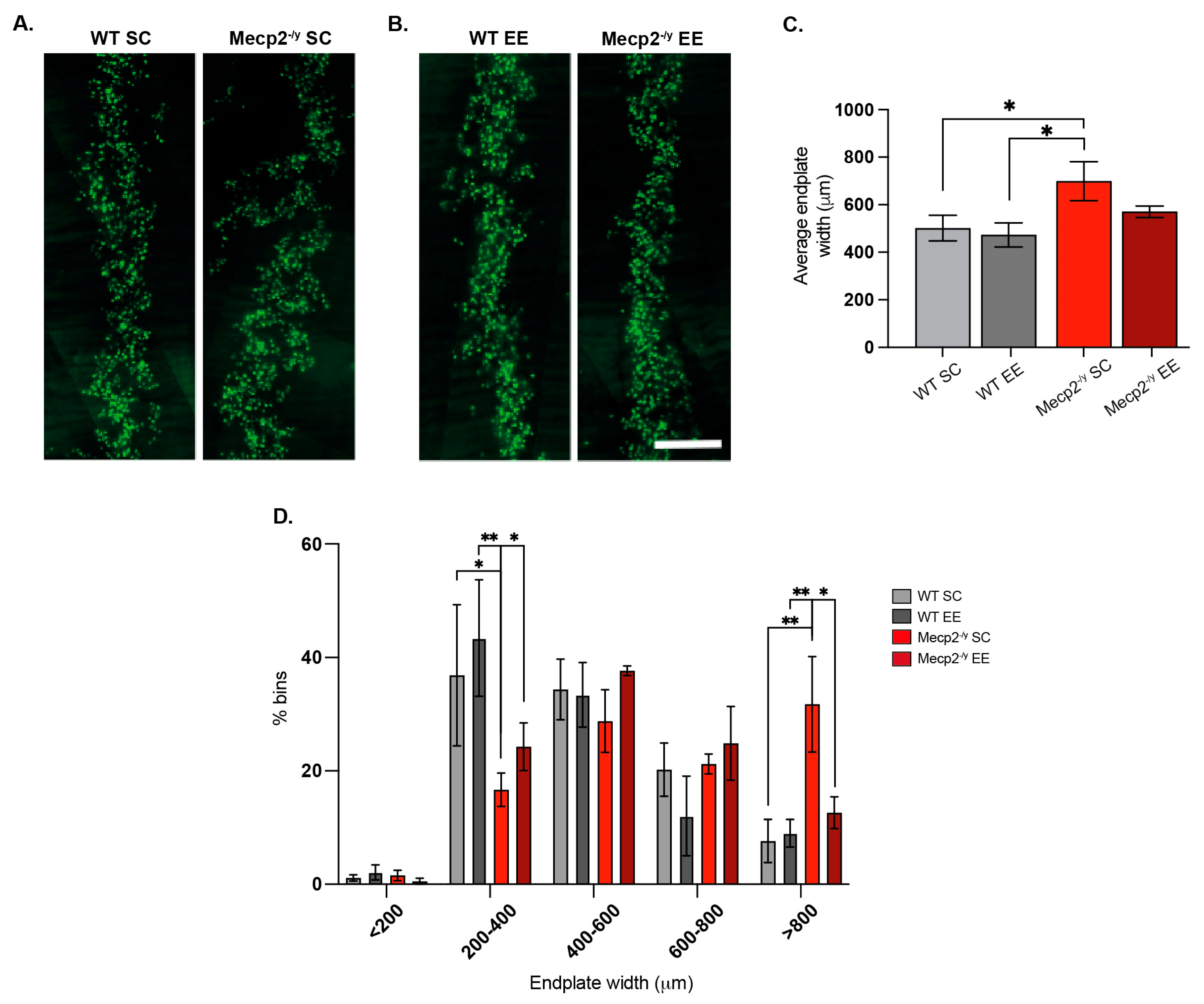 Biomolecules 15 00748 g005