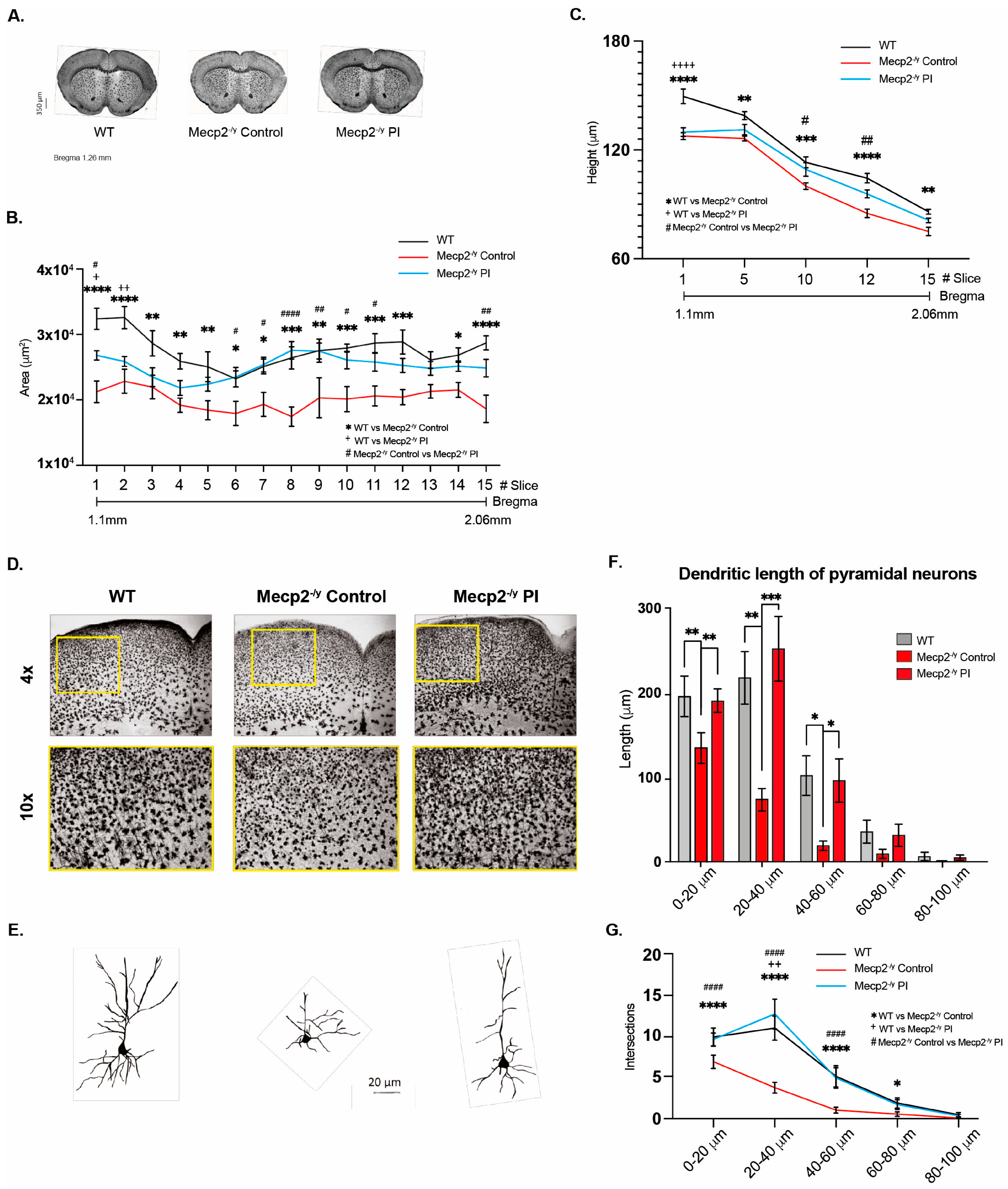 Biomolecules 15 00748 g007