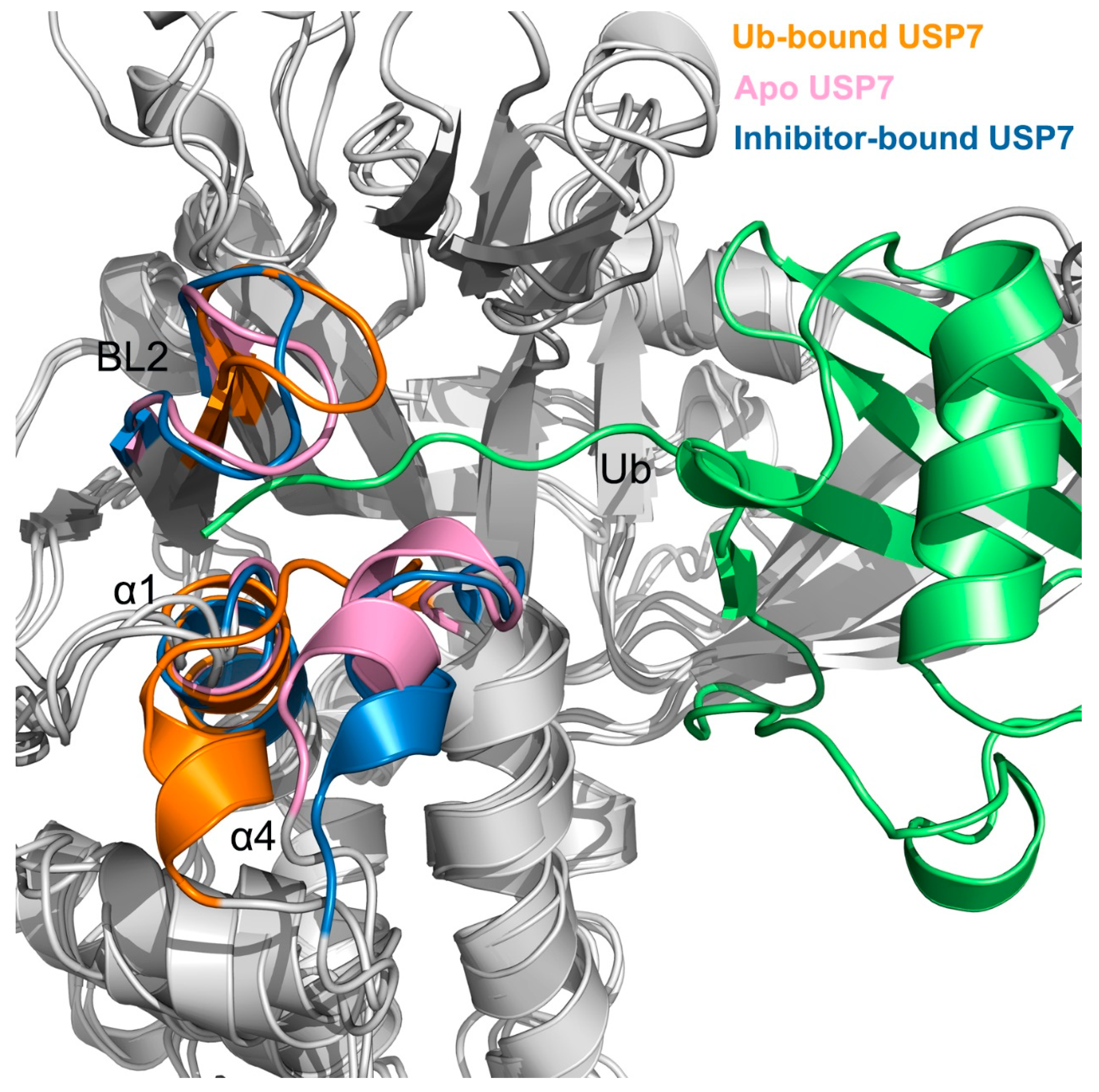 Biomolecules 15 00749 g005
