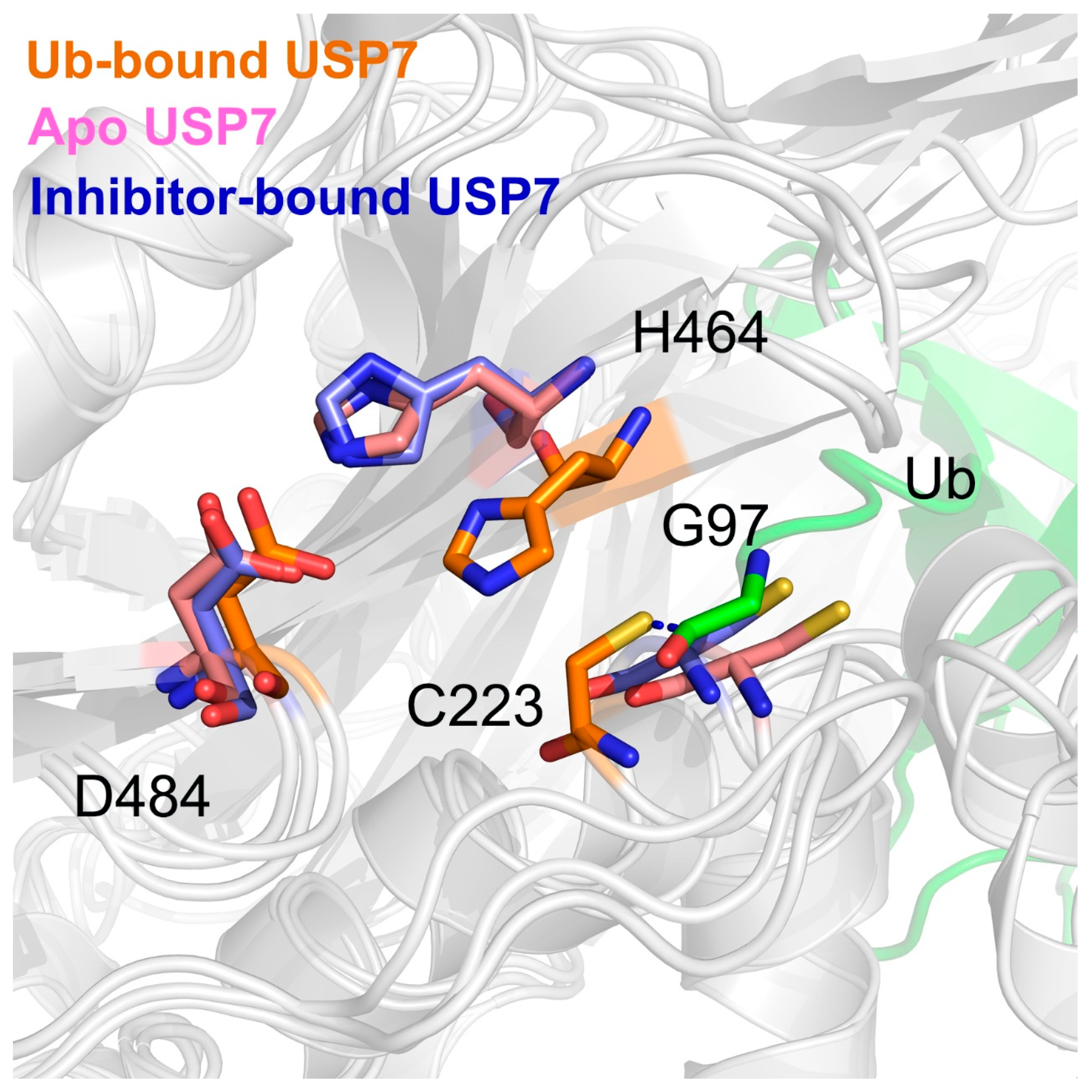 Biomolecules 15 00749 g008