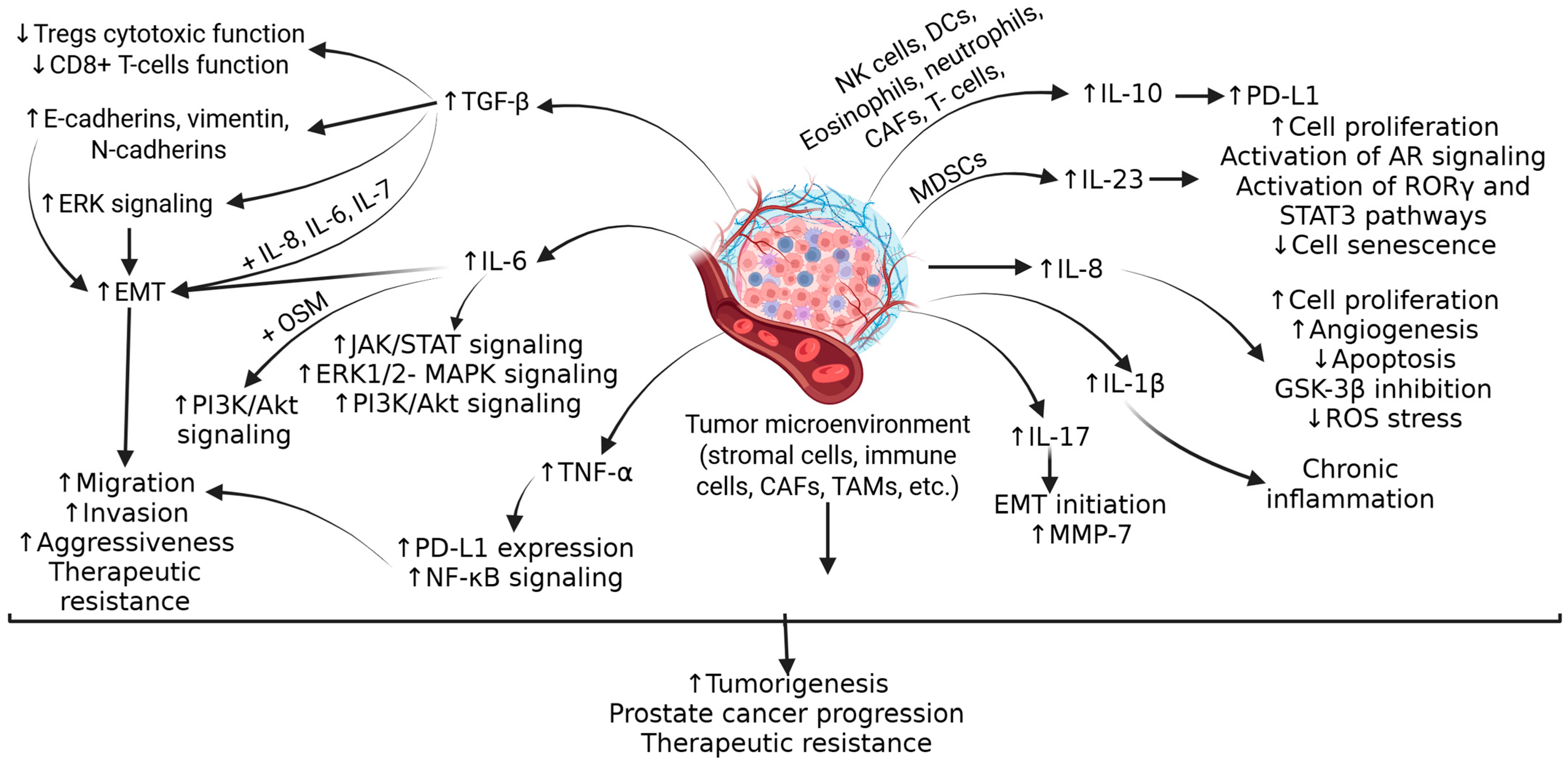 Biomolecules 15 00751 g001 Biomolecules 15 00751 g001