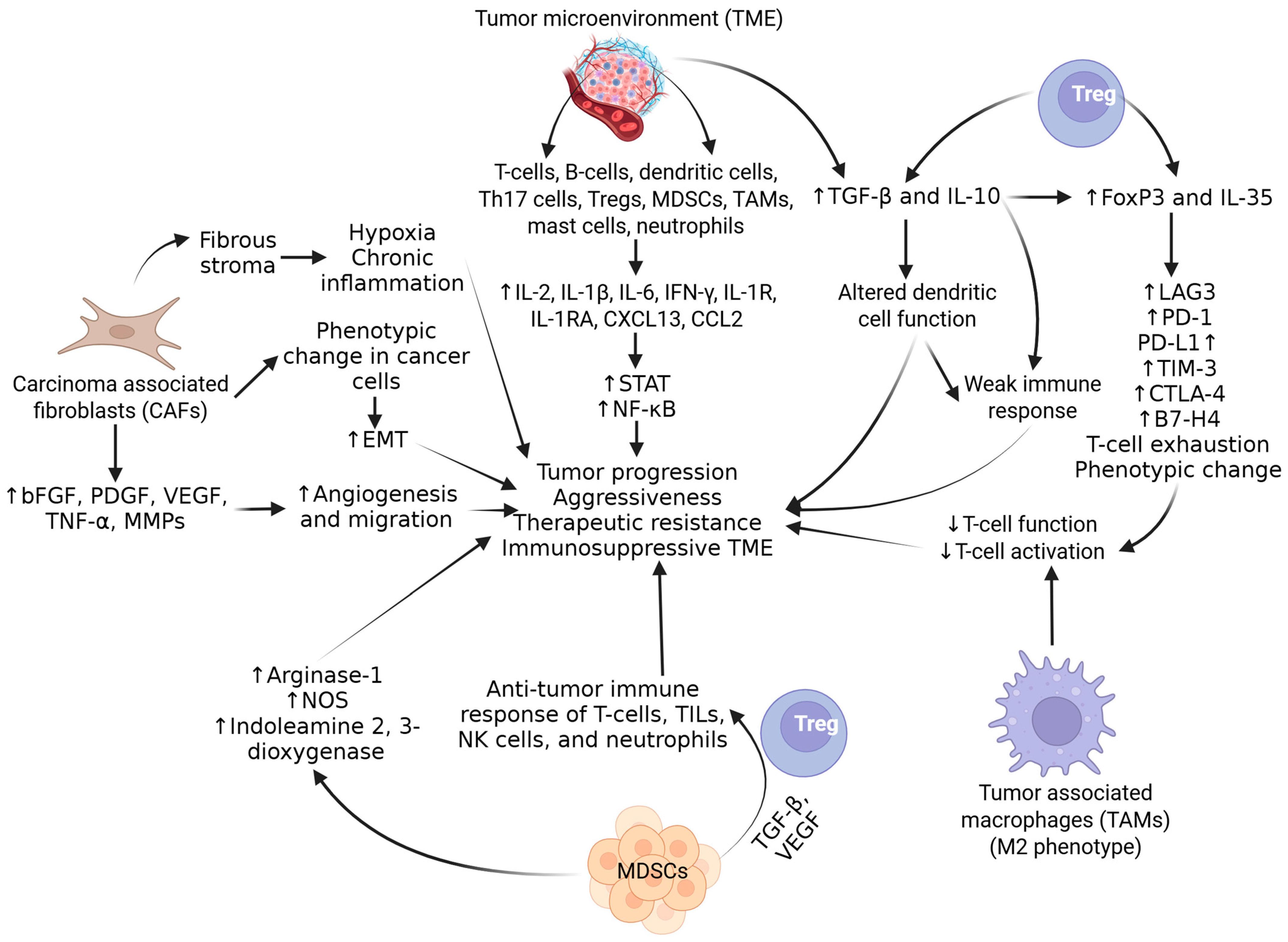 Biomolecules 15 00751 g003 Biomolecules 15 00751 g003