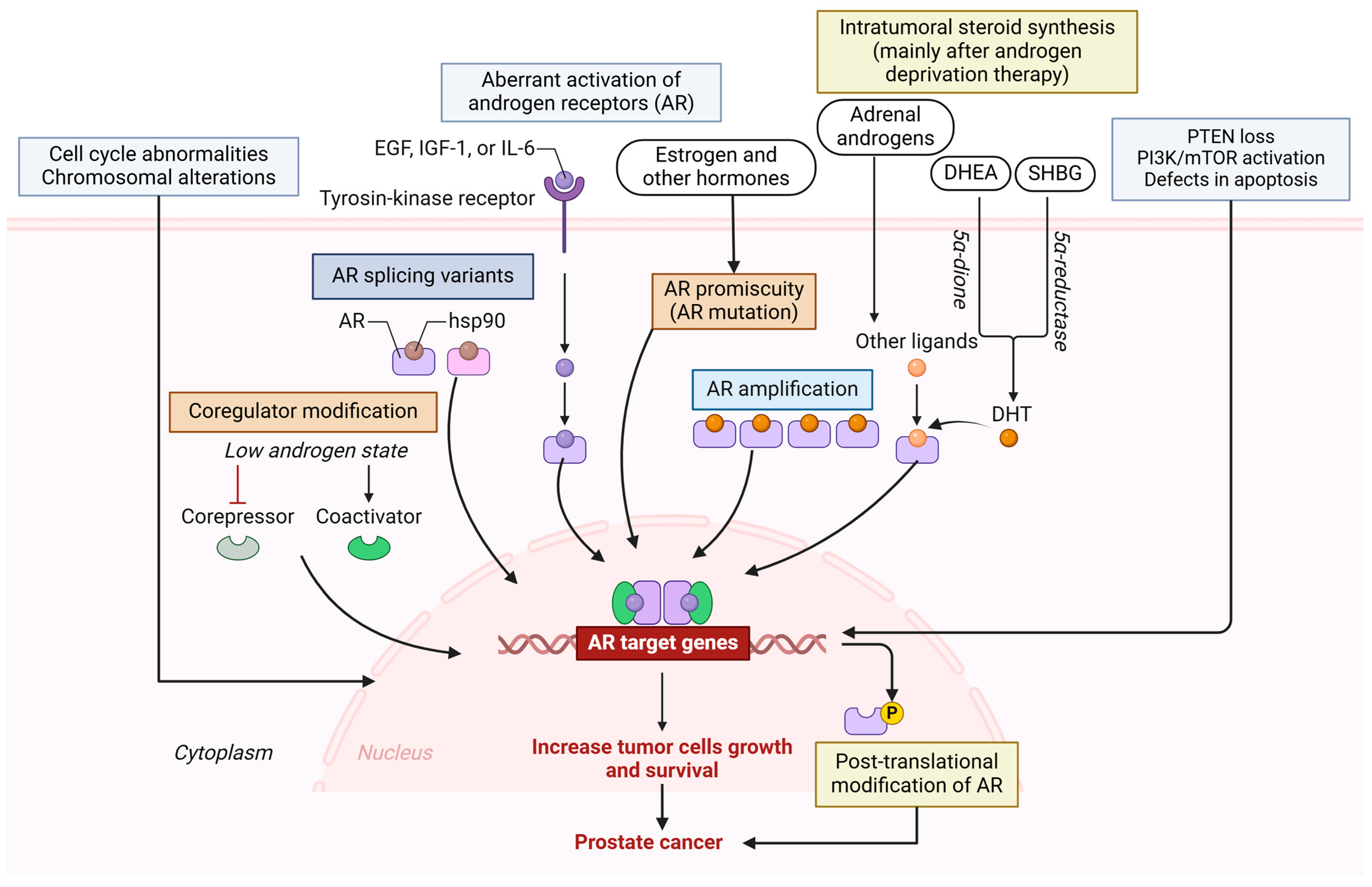 Biomolecules 15 00751 g004 Biomolecules 15 00751 g004