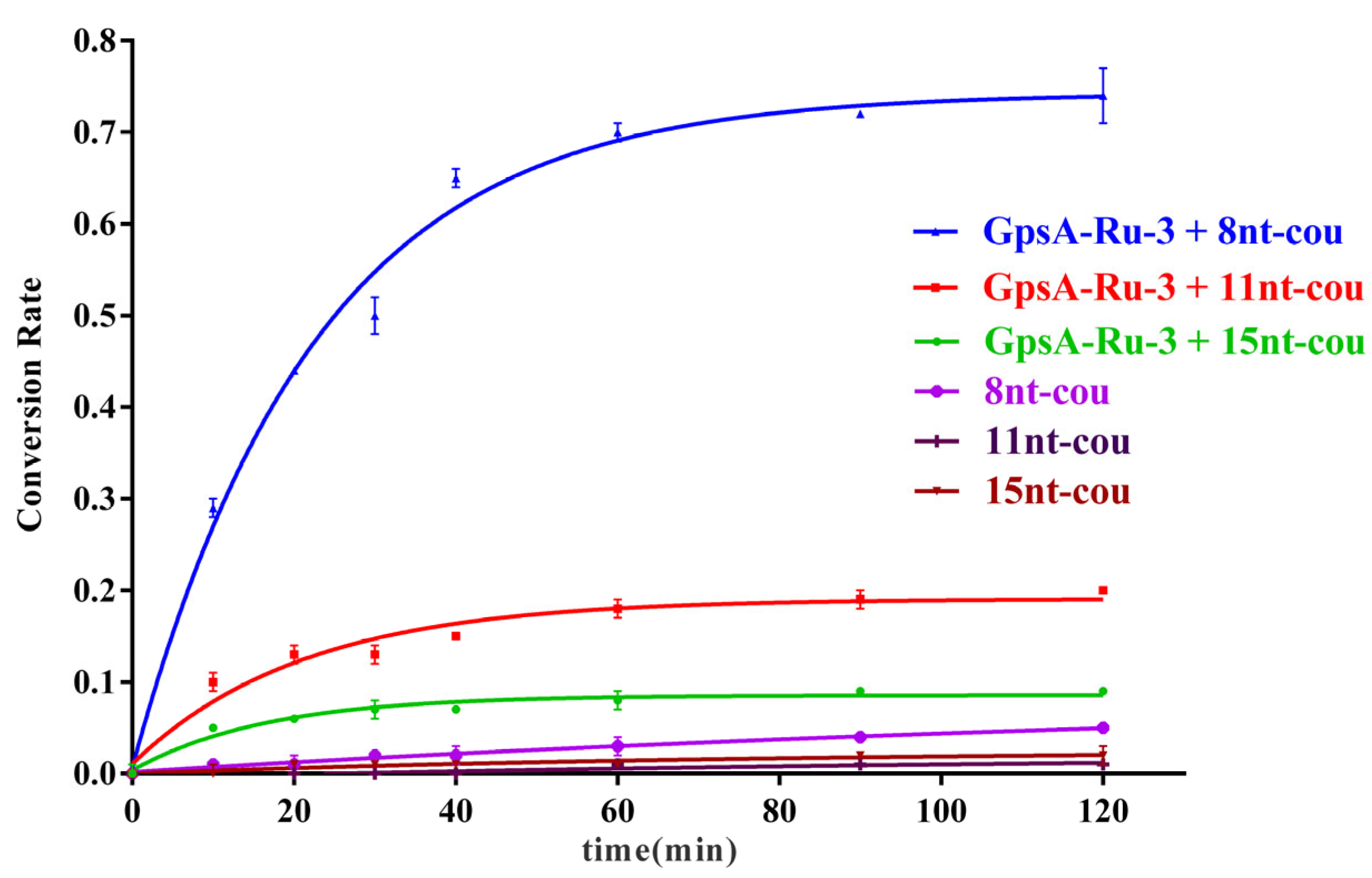 Biomolecules 15 00752 g004