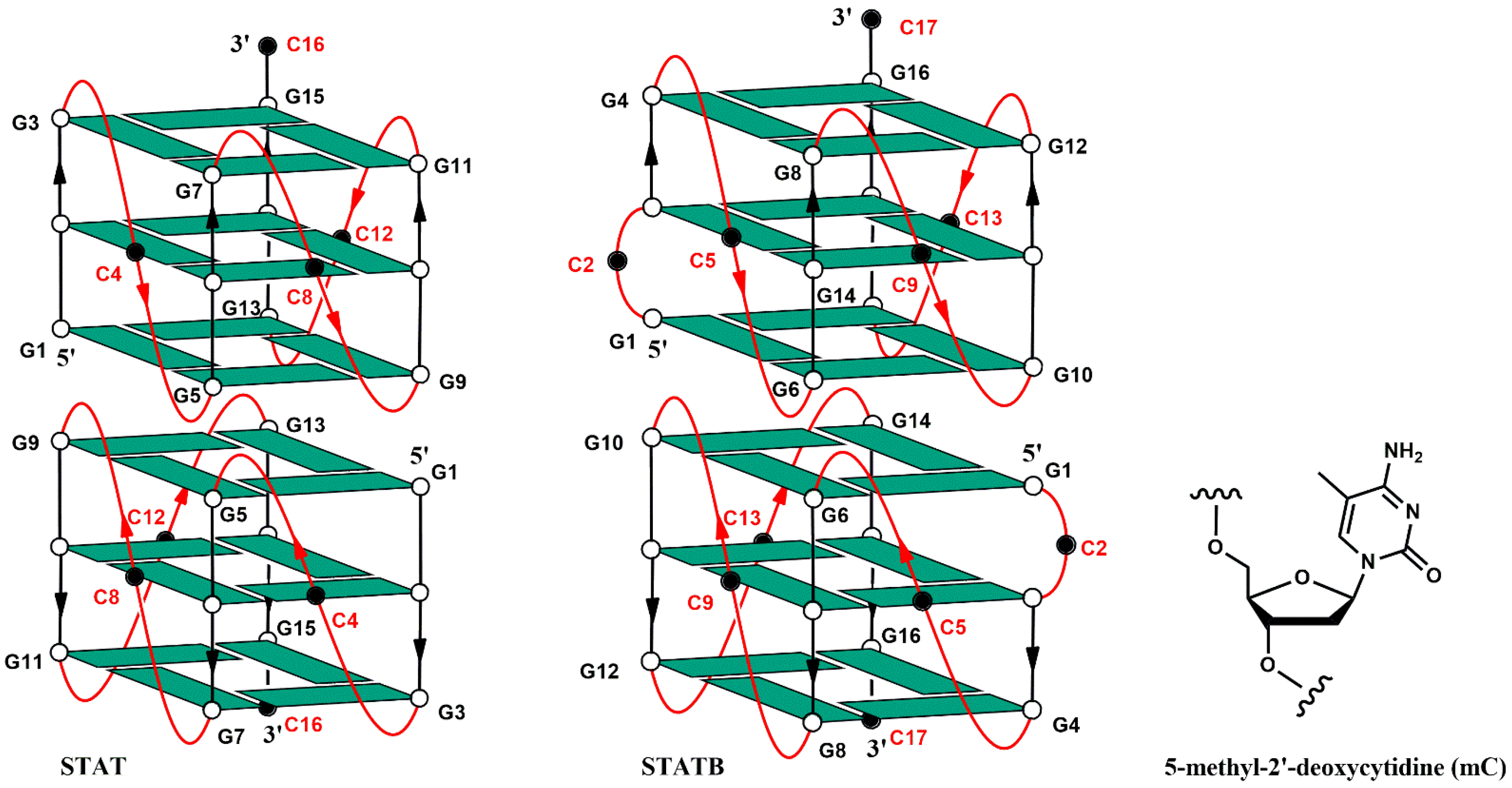 Biomolecules 15 00753 g001 Biomolecules 15 00753 g001