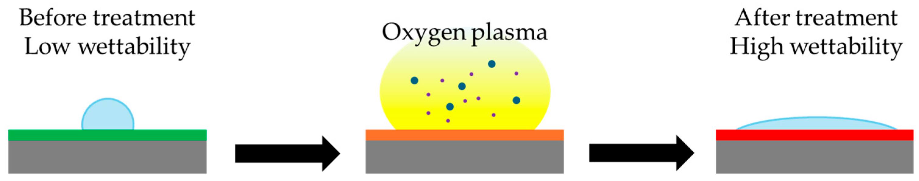 Biomolecules 15 00754 g005