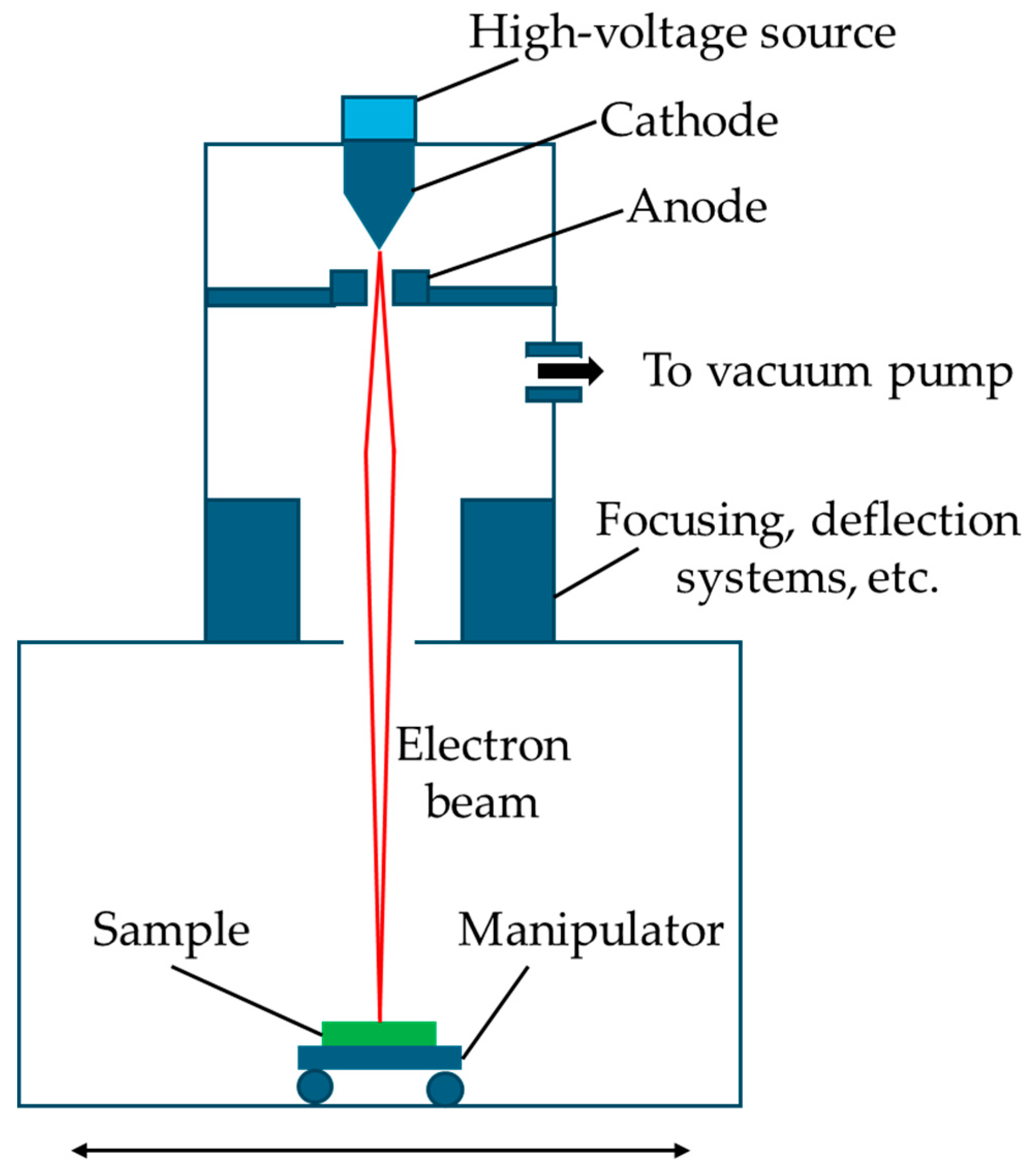 Biomolecules 15 00754 g006