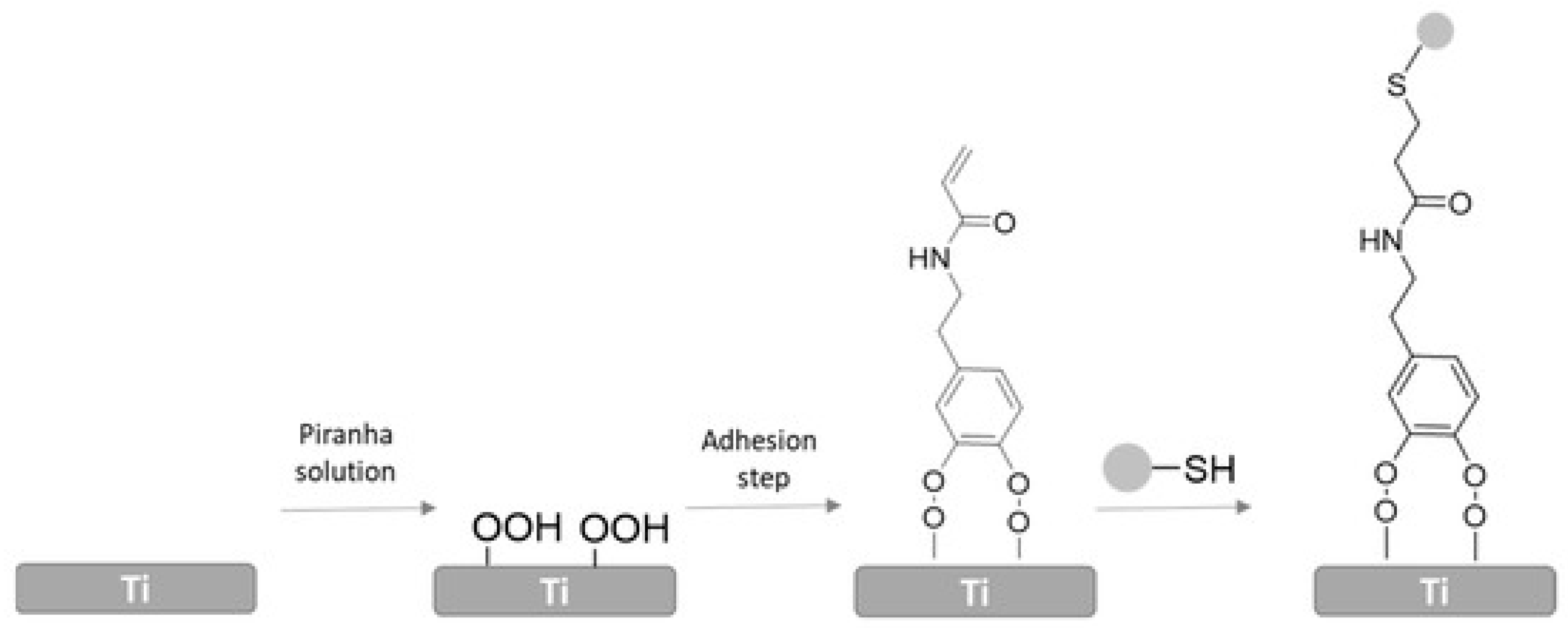 Biomolecules 15 00754 g009