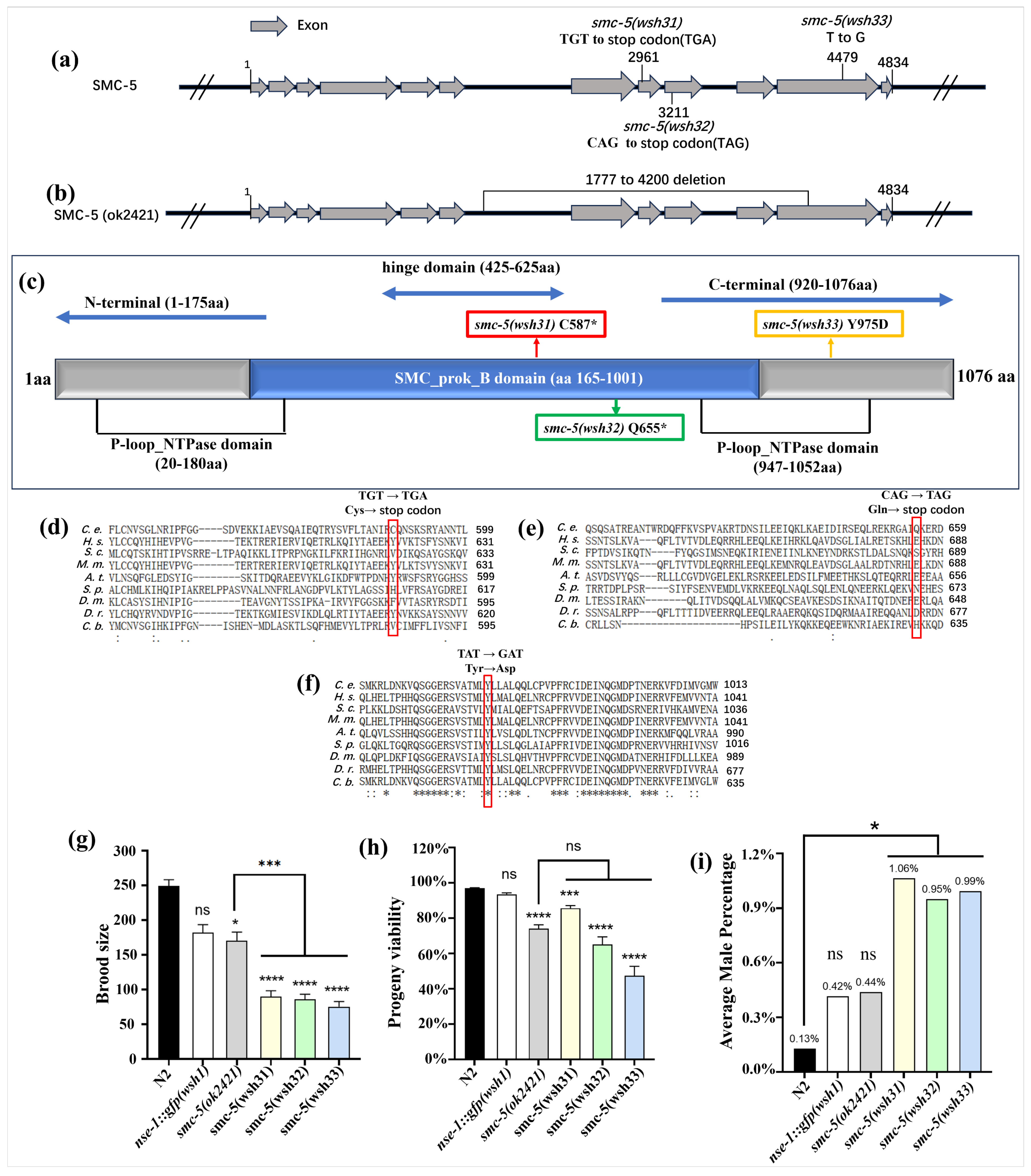 Biomolecules 15 00755 g003