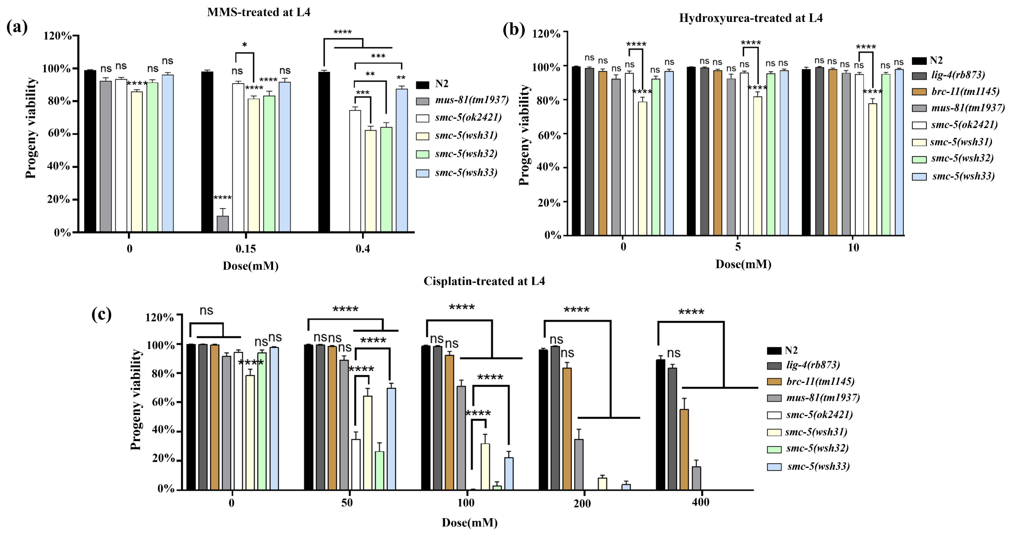 Biomolecules 15 00755 g004