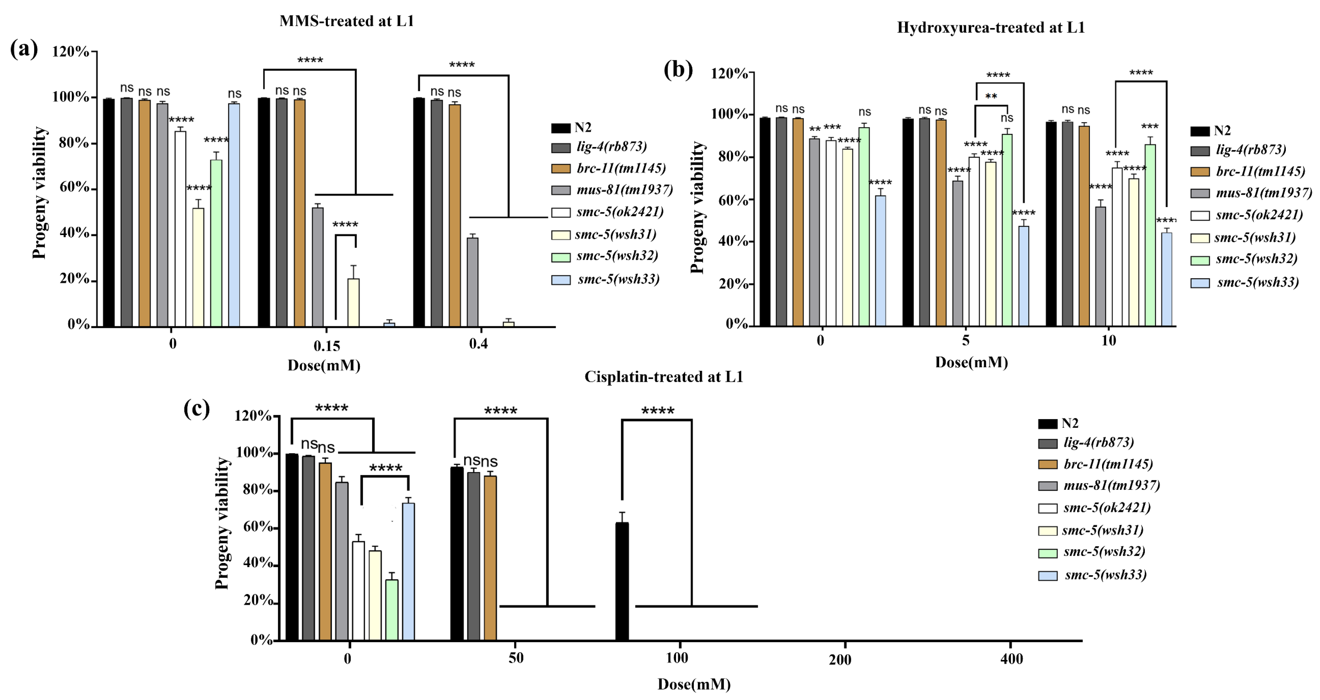 Biomolecules 15 00755 g005