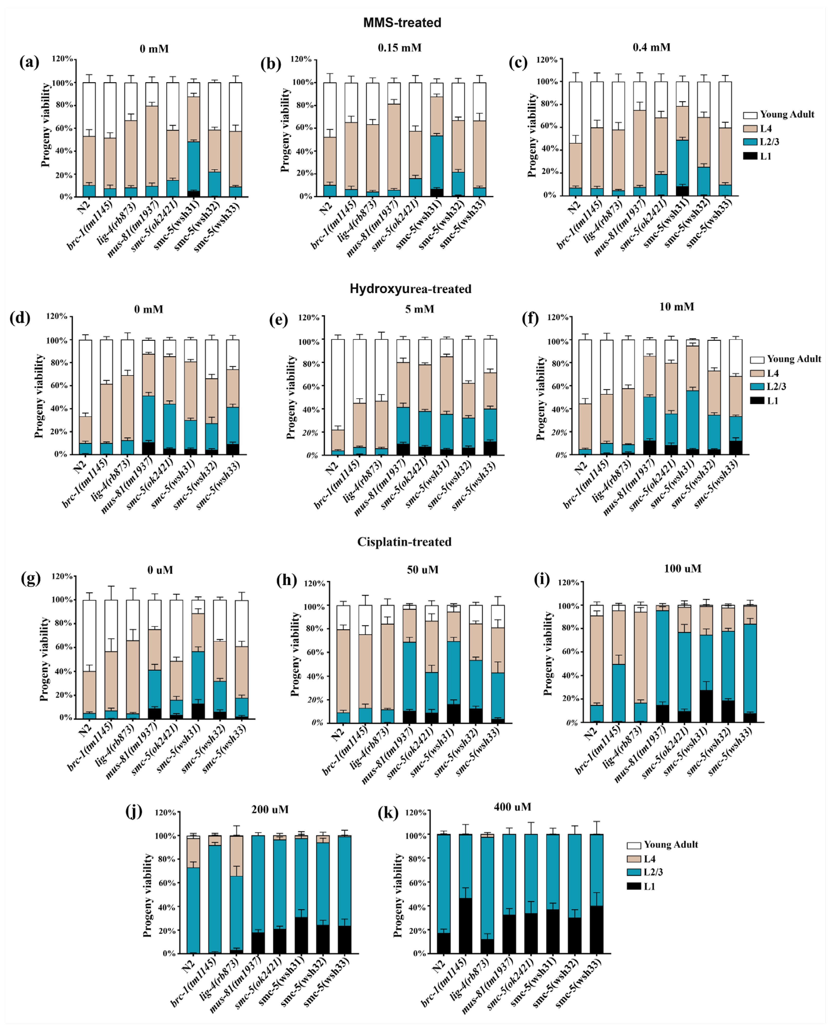 Biomolecules 15 00755 g006