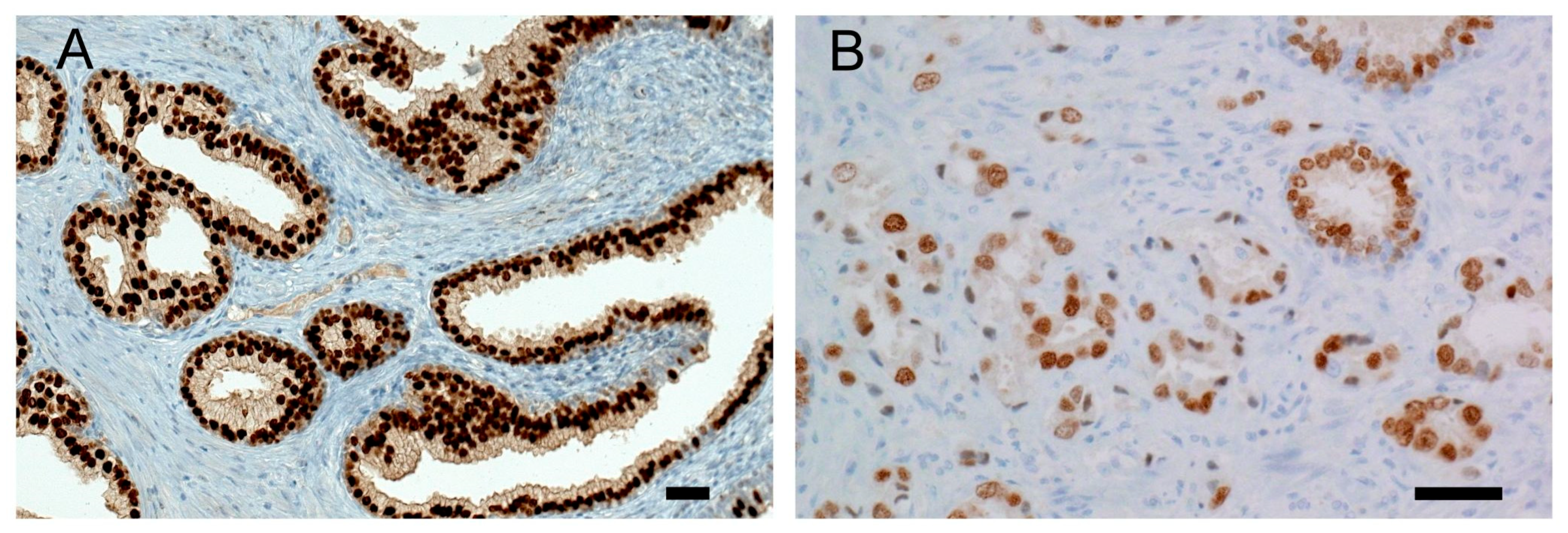Biomolecules 15 00758 g001 Biomolecules 15 00758 g001