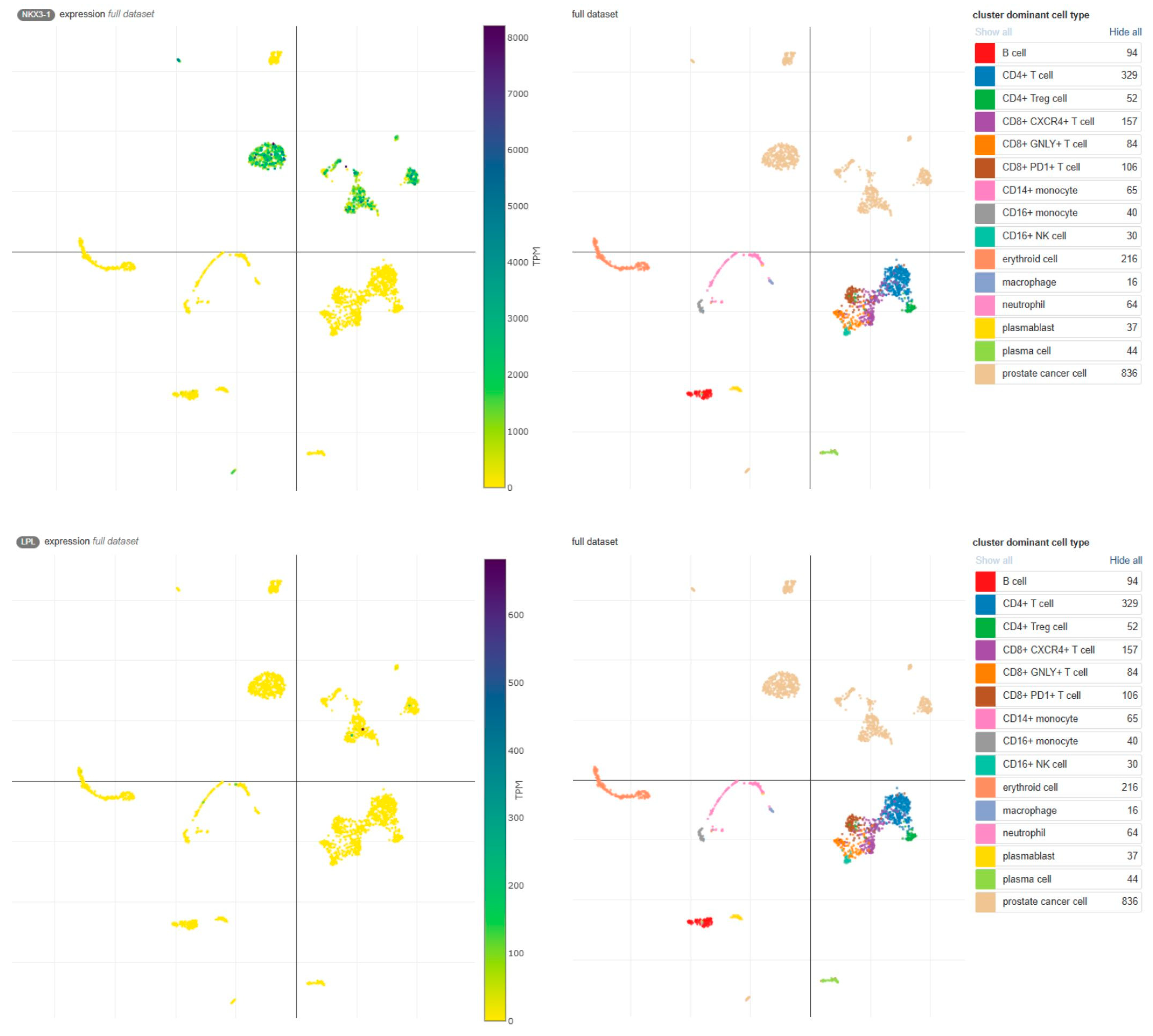 Biomolecules 15 00758 g005 Biomolecules 15 00758 g005