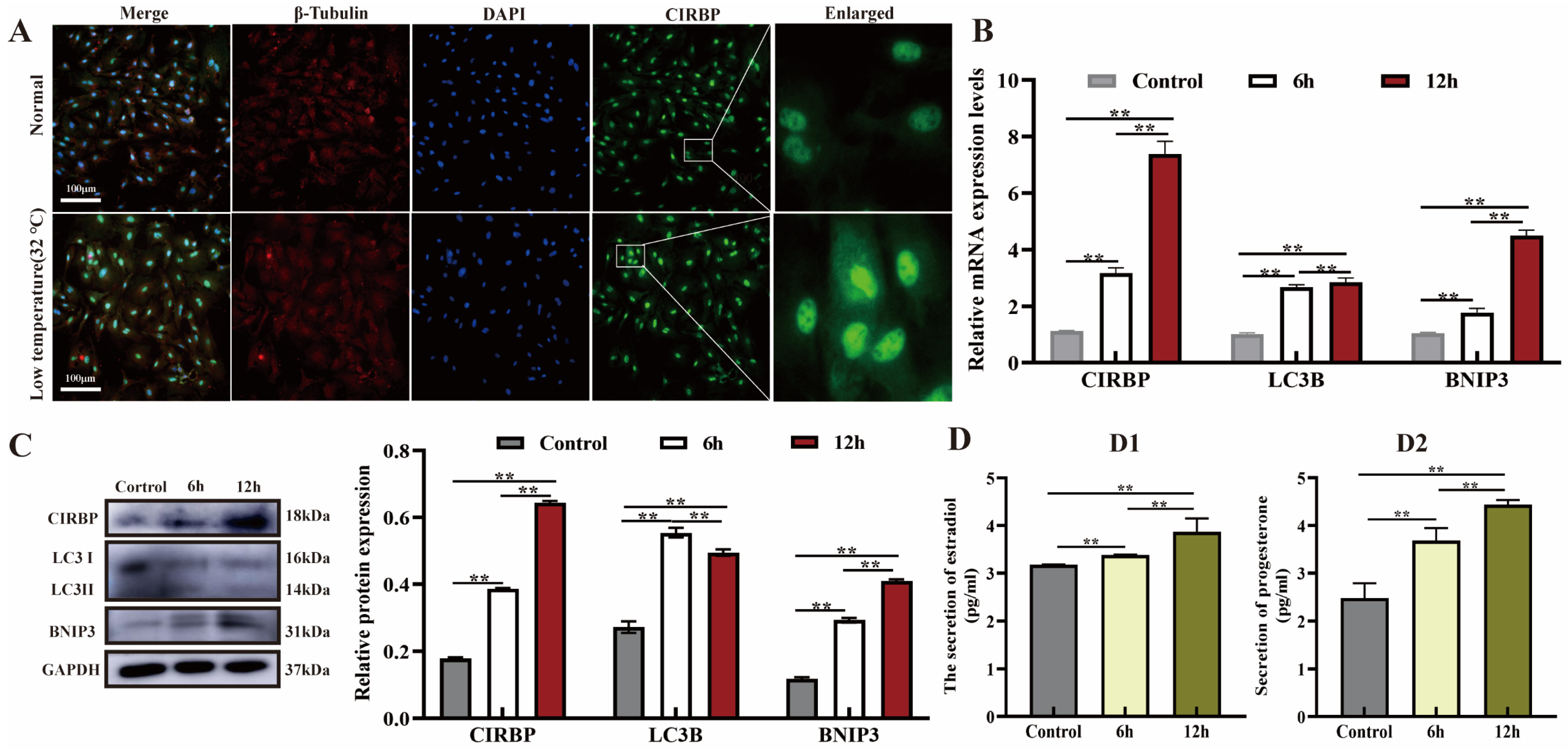 Biomolecules 15 00759 g001