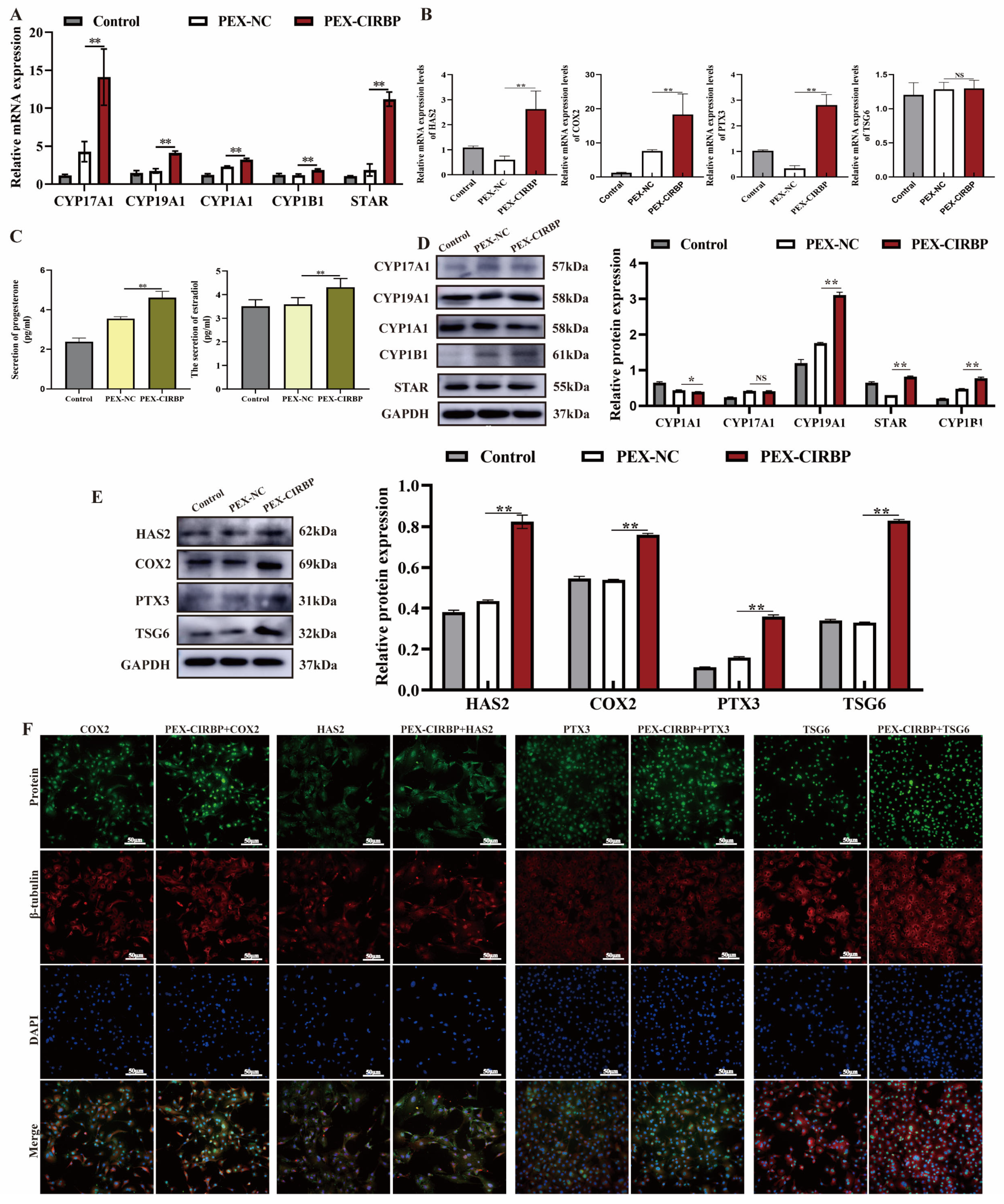 Biomolecules 15 00759 g003