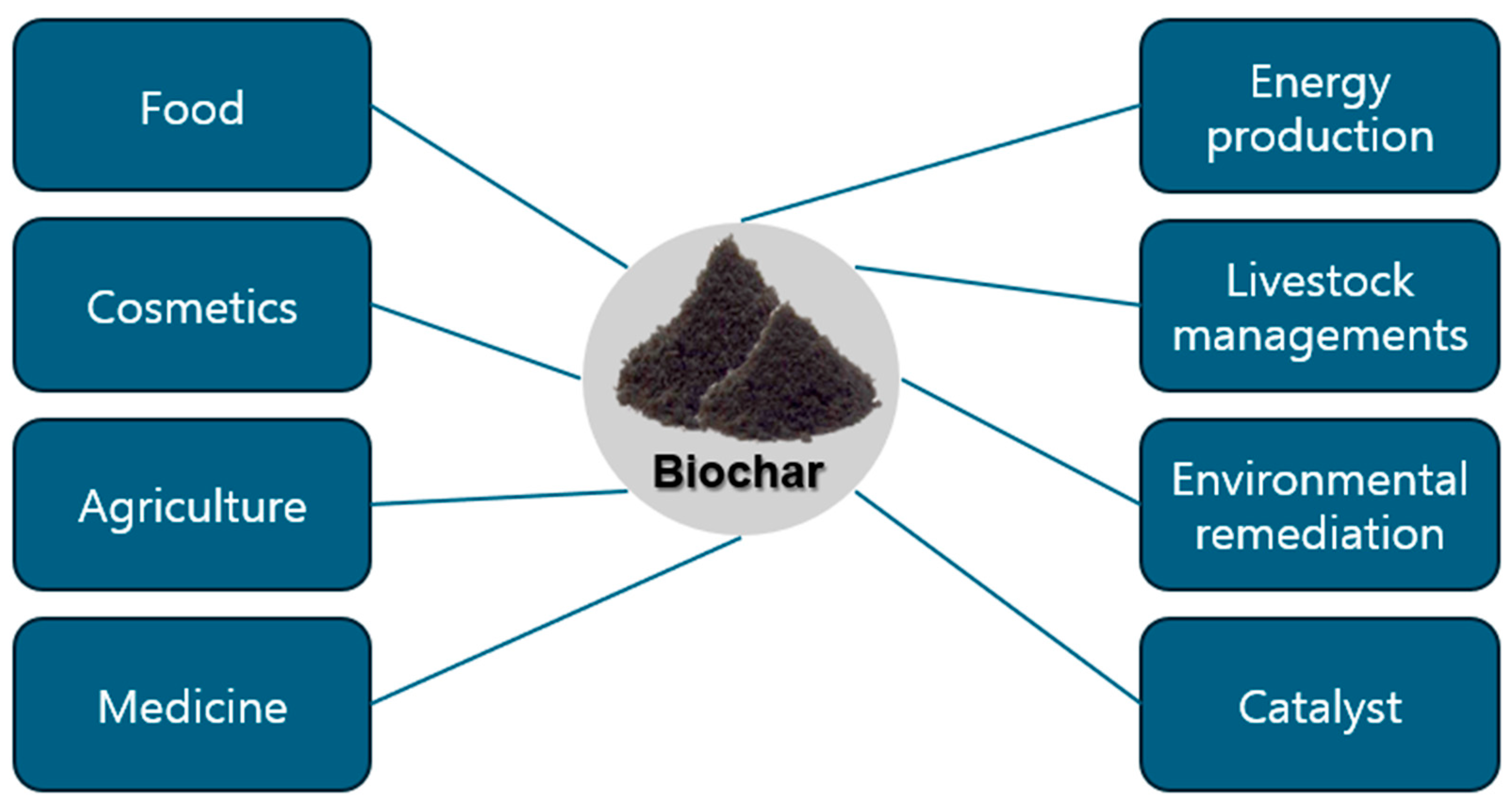 Biomolecules 15 00760 g001