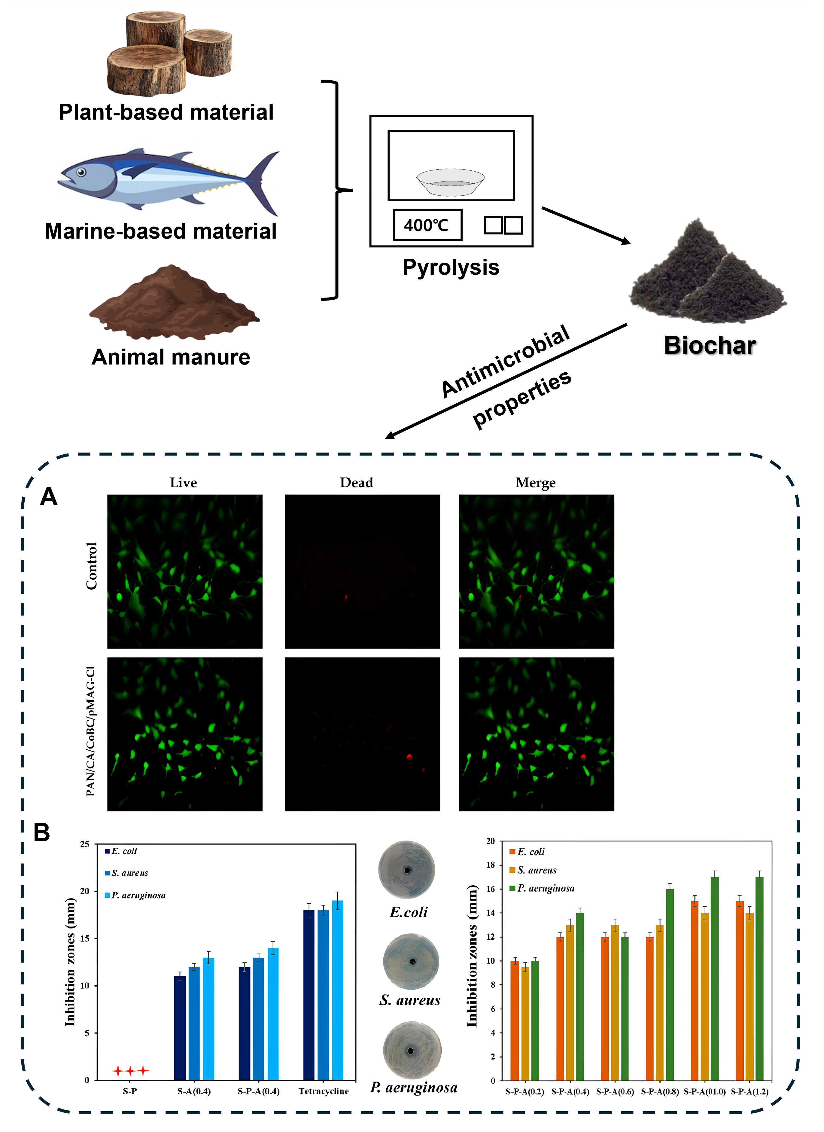 Biomolecules 15 00760 g005