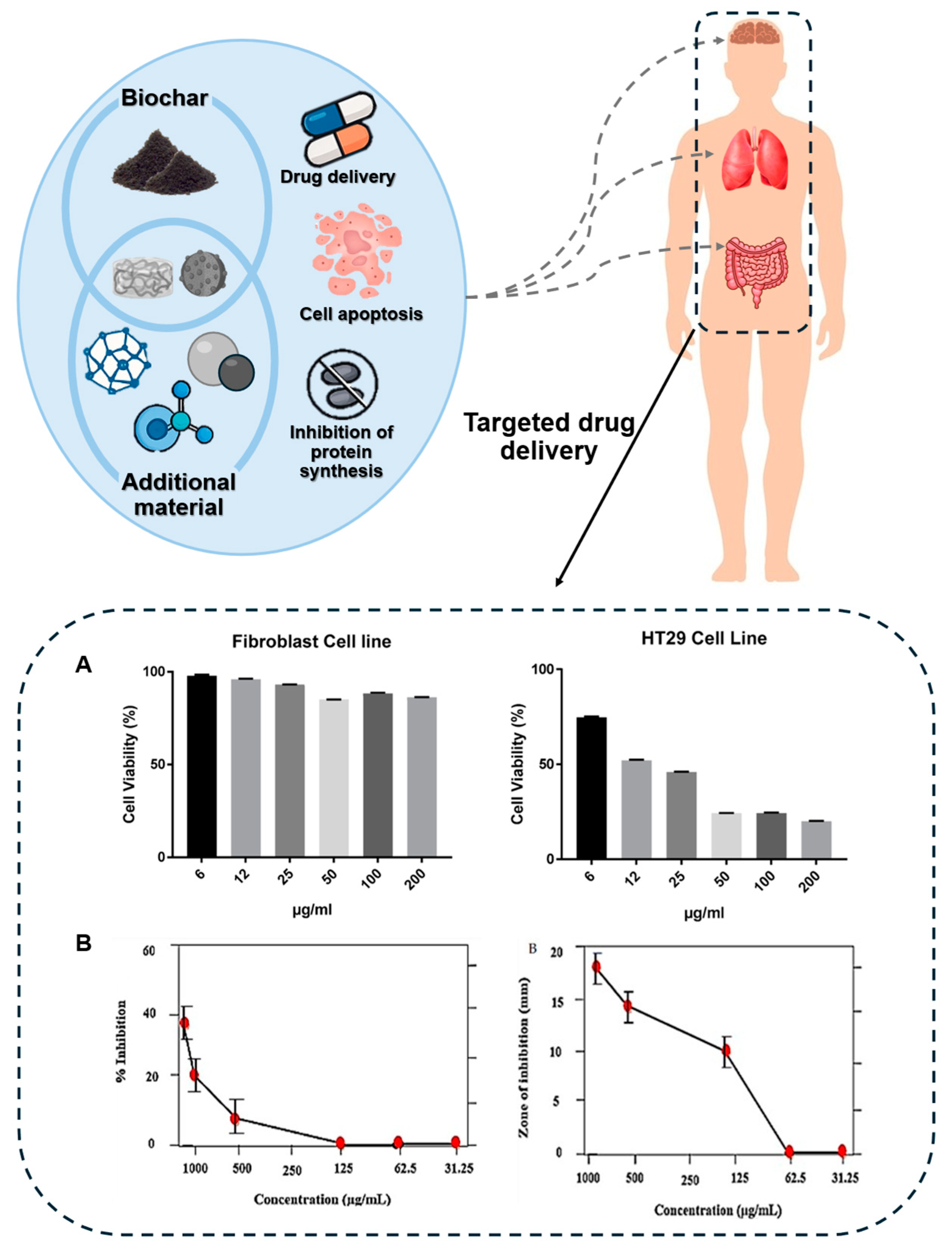 Biomolecules 15 00760 g006