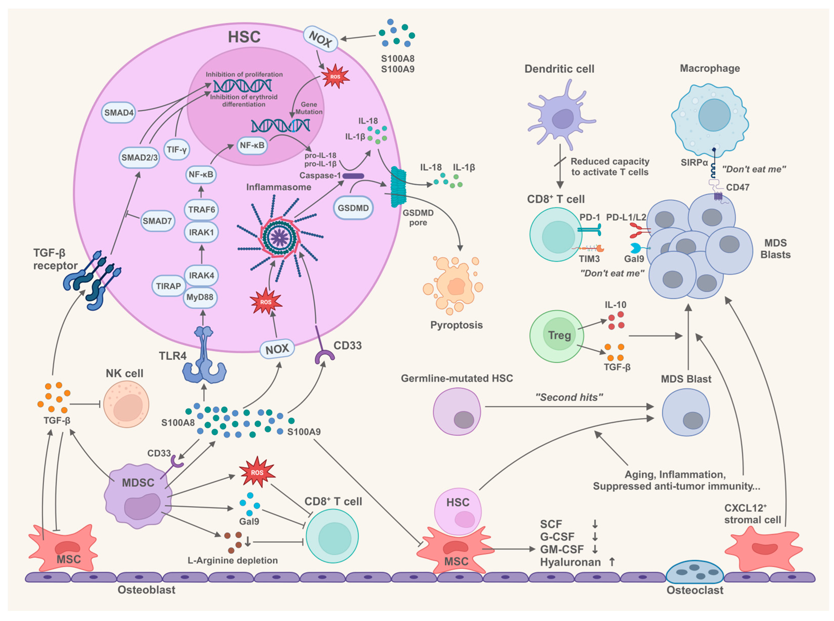 Biomolecules 15 00761 g001
