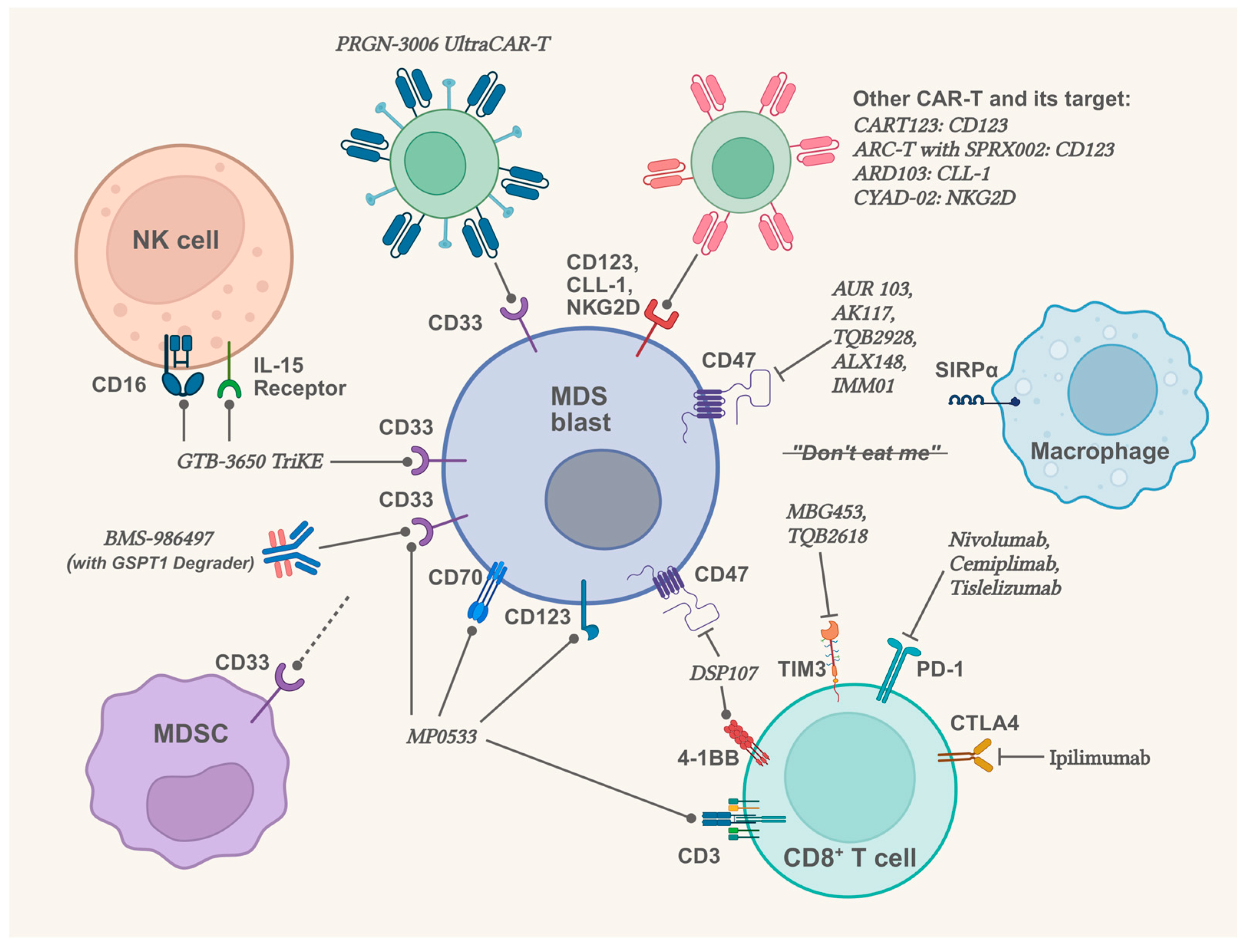 Biomolecules 15 00761 g002