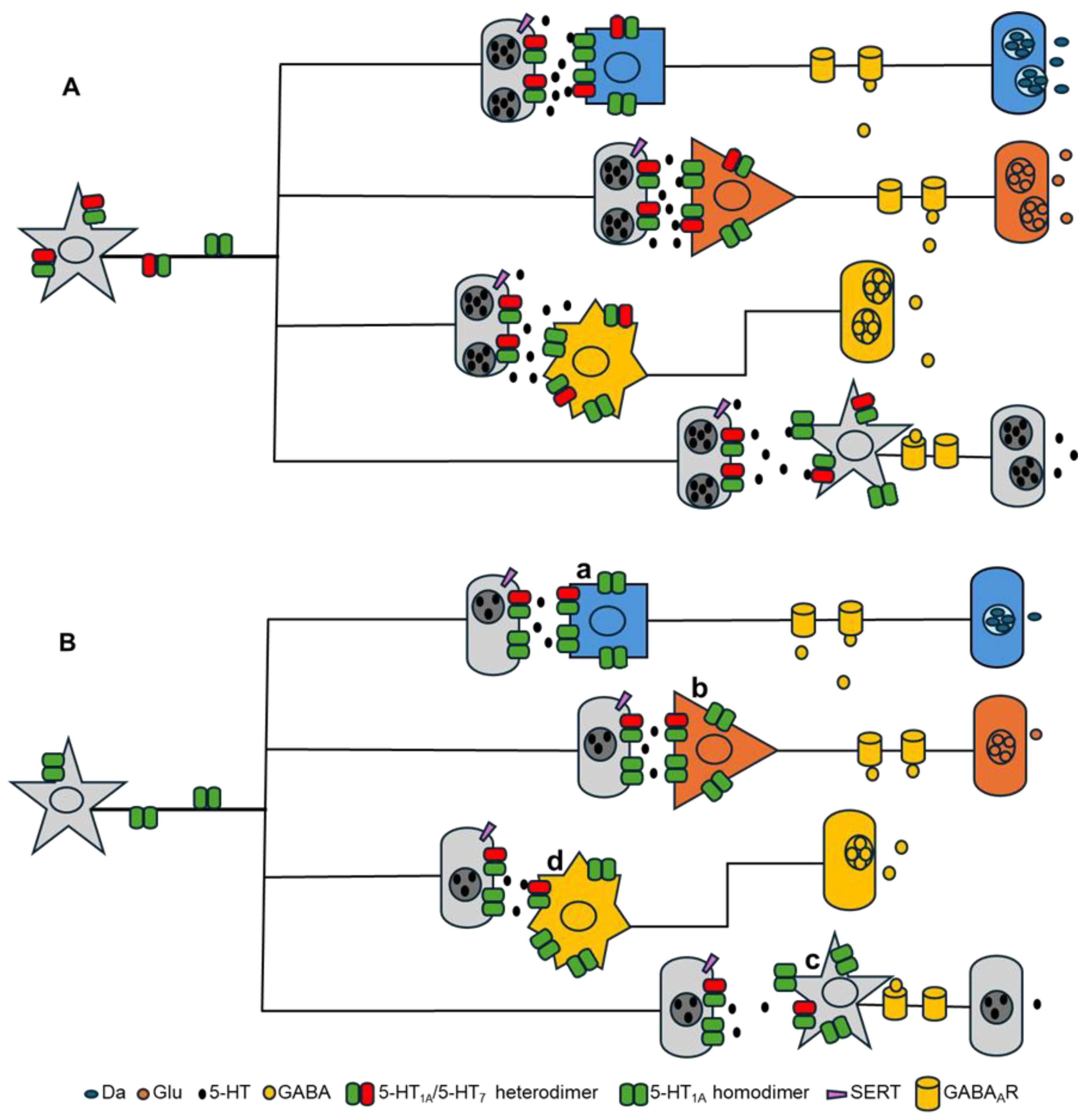 Biomolecules 15 00762 g003