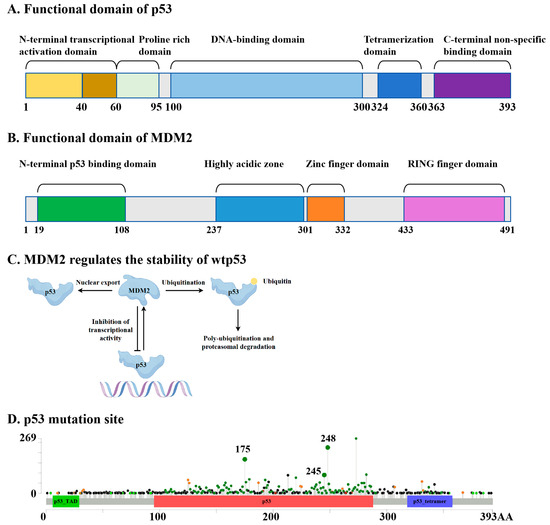 ミミック Discovery of Drugs Targeting Mutant p53 and Progress in Nano