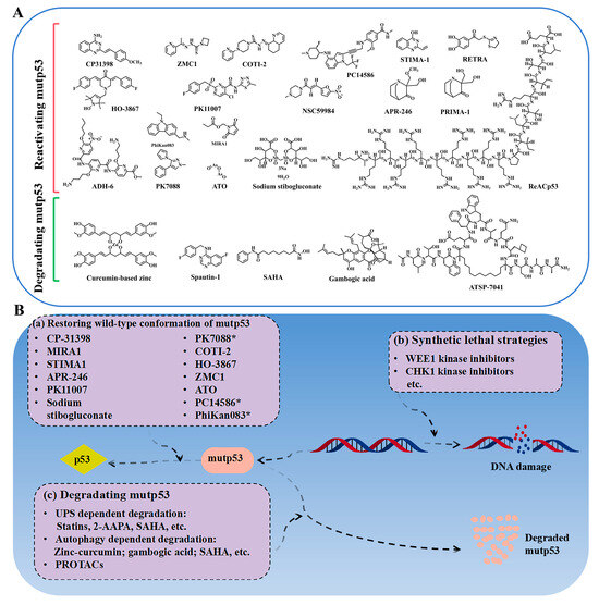 Discovery of Drugs Targeting Mutant p53 and Progress in Nano