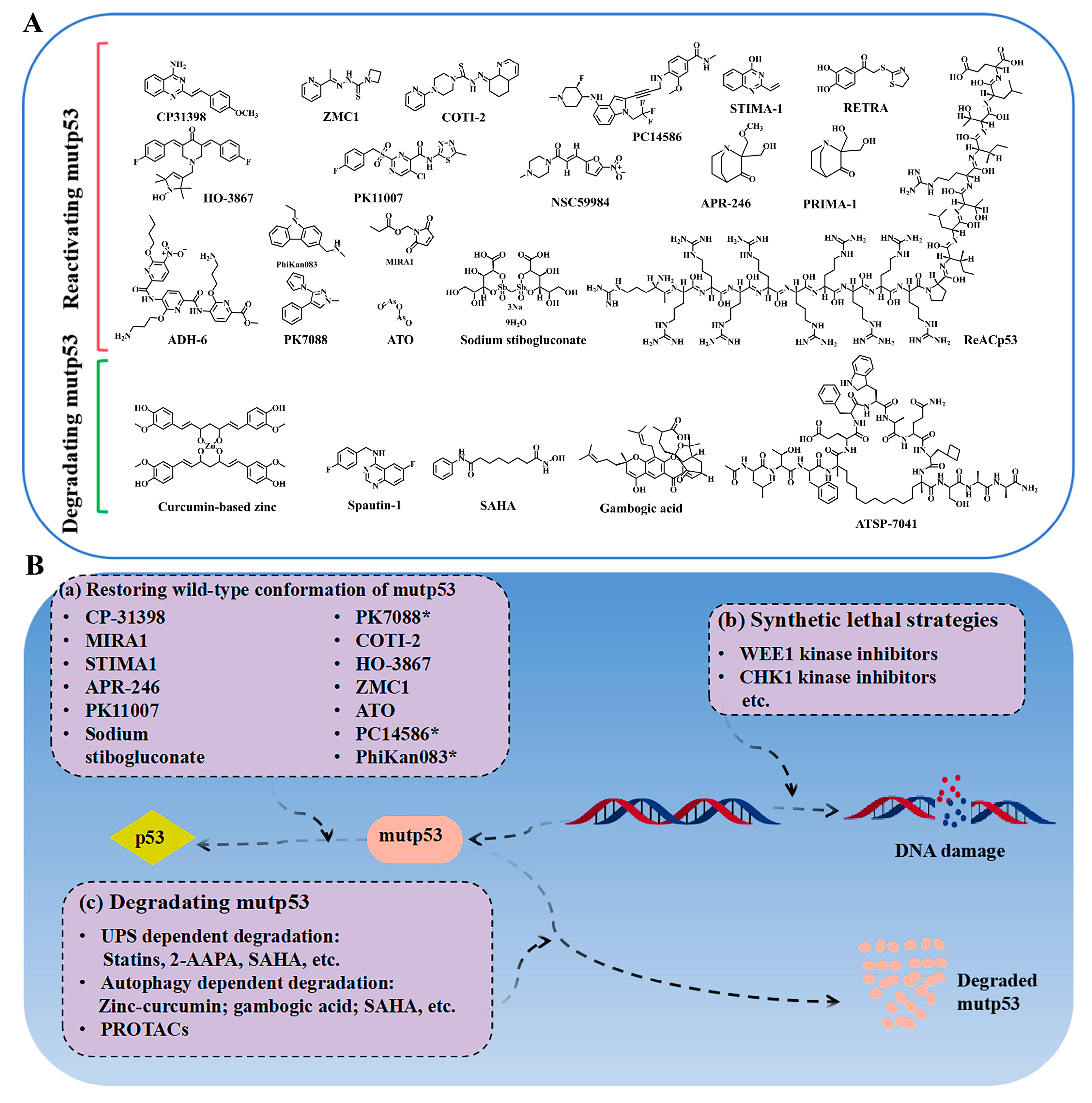 Biomolecules 15 00763 g002