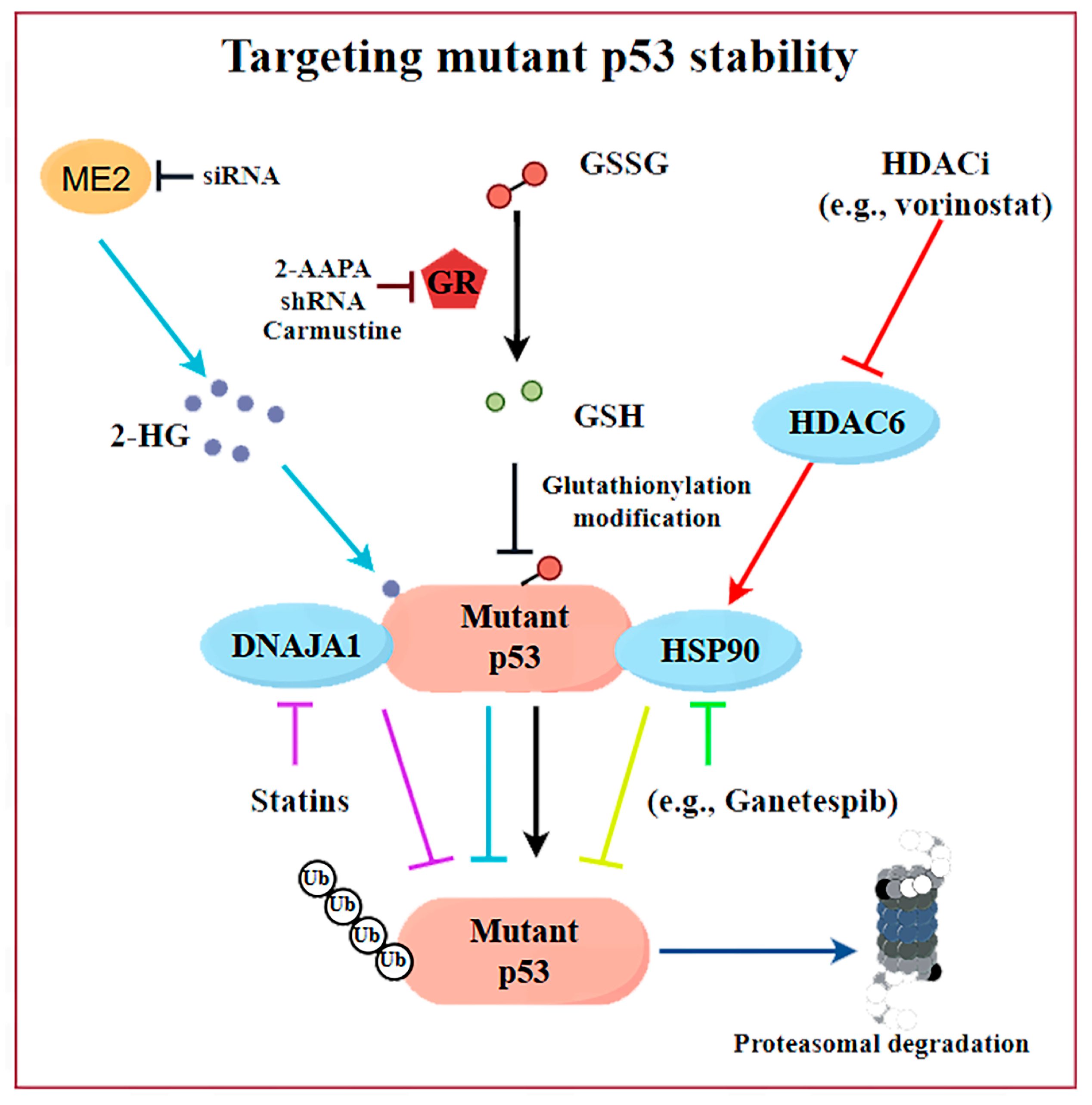 Biomolecules 15 00763 g003