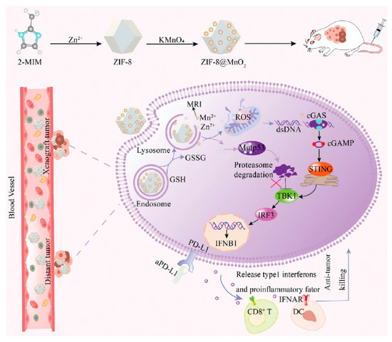 店舗良い p53 Mutant Targeting Drugs of Discovery and Nano in Progress 洋画・外国映画