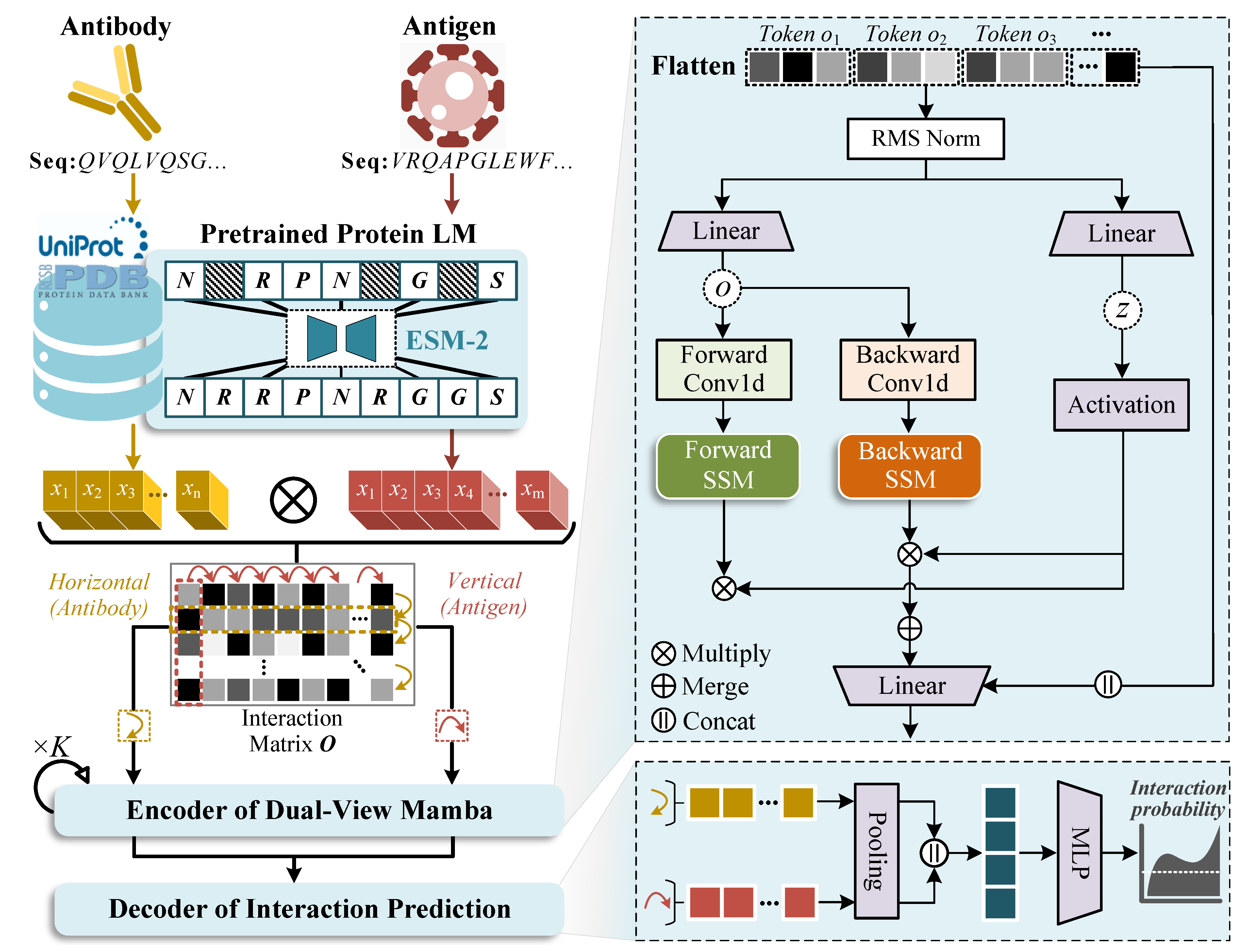 Biomolecules 15 00764 g001