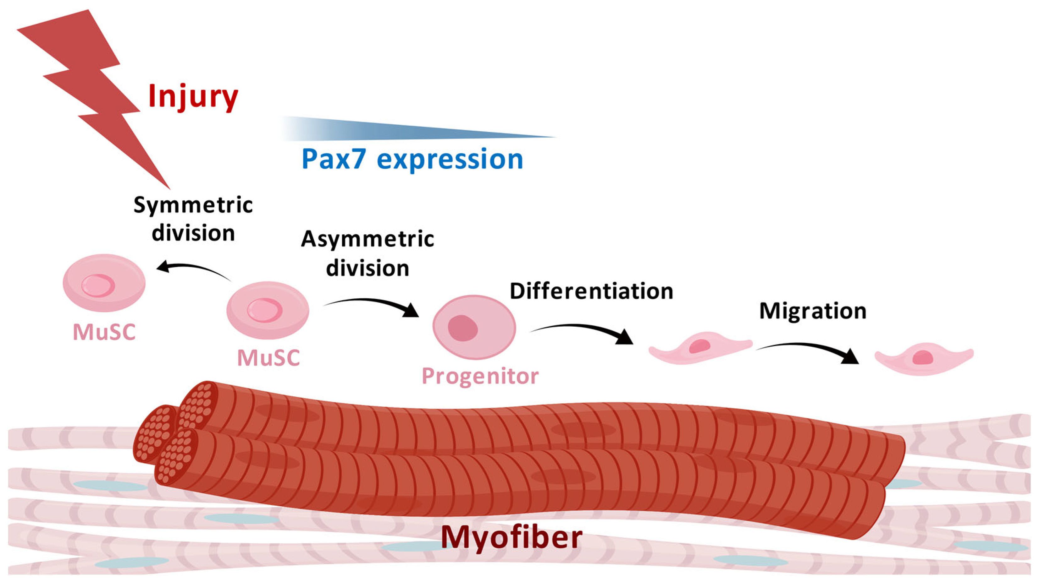 Biomolecules 15 00765 g001
