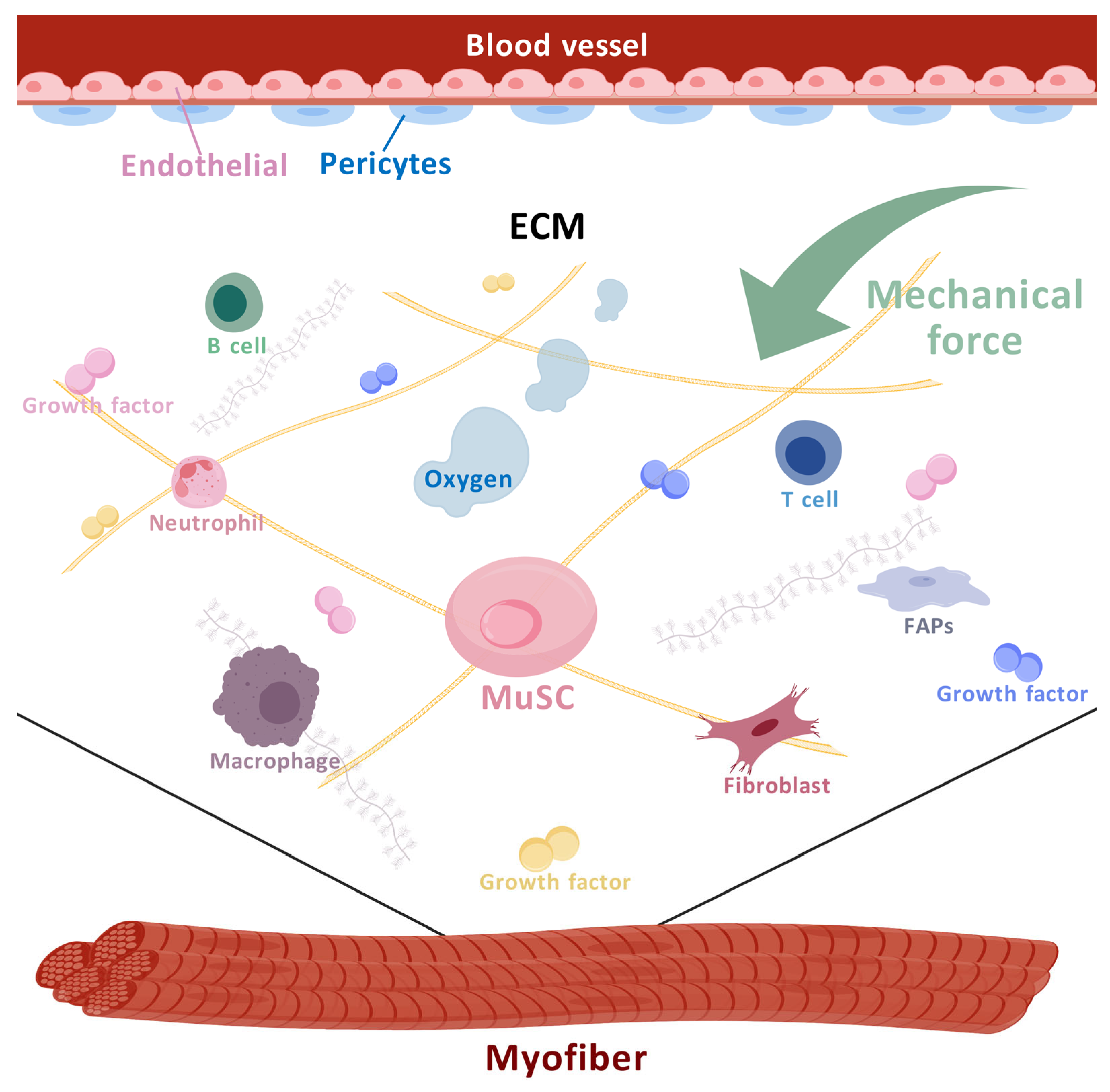 Biomolecules 15 00765 g002