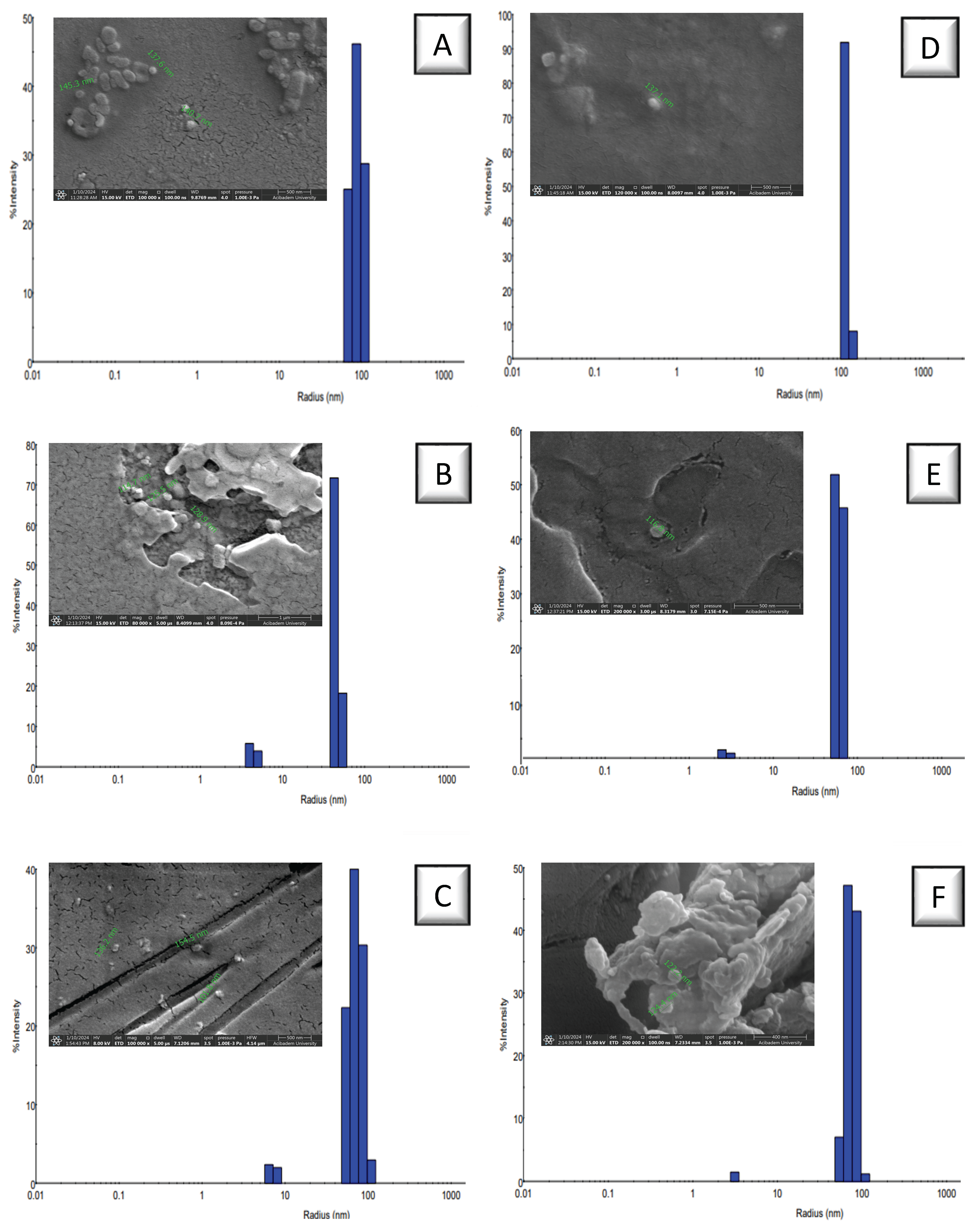 Biomolecules 15 00767 g002