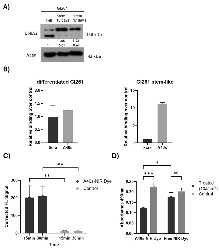 Biomolecules 15 00768 g003