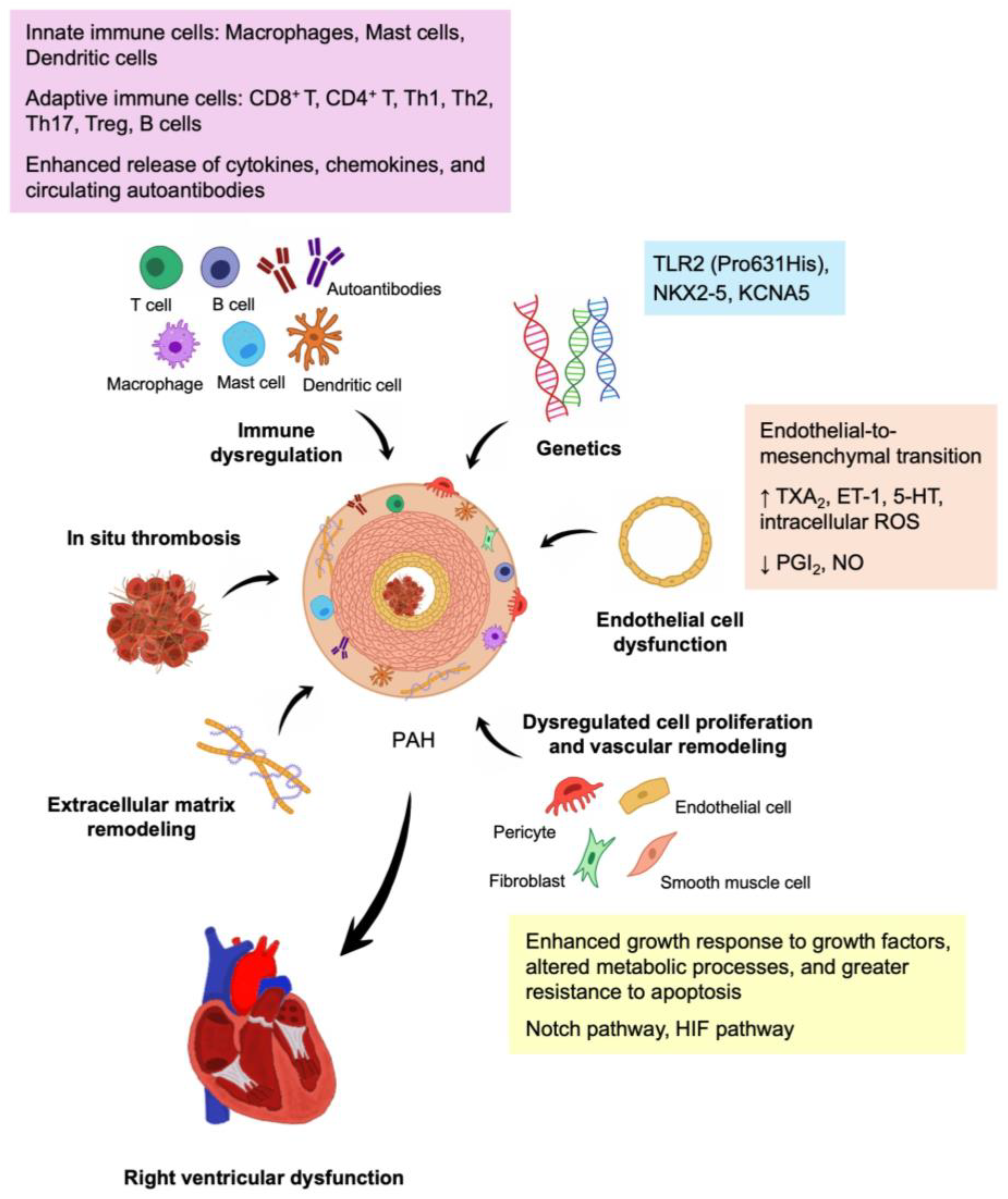 Biomolecules 15 00772 g001