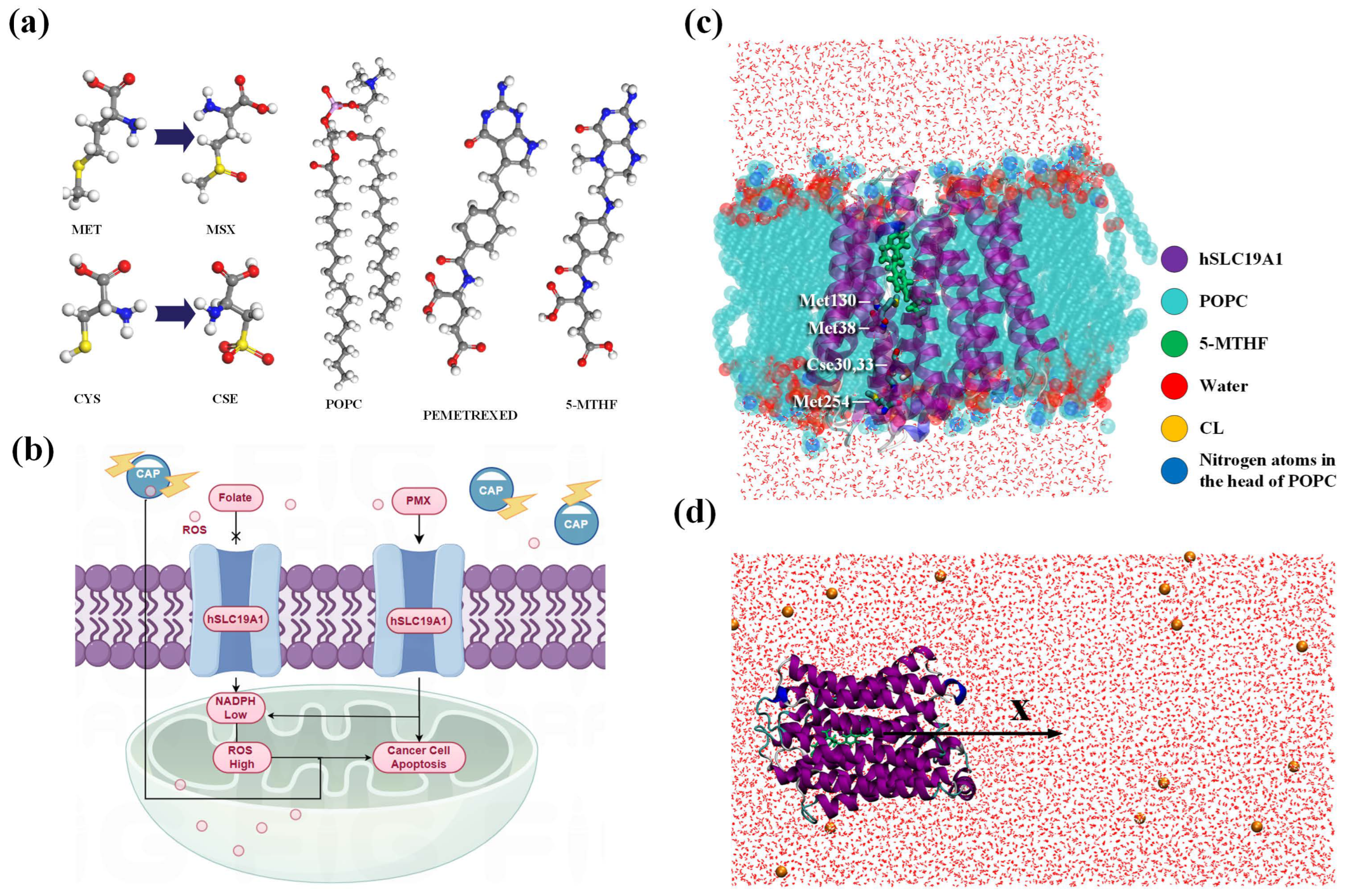 Biomolecules 15 00773 g001