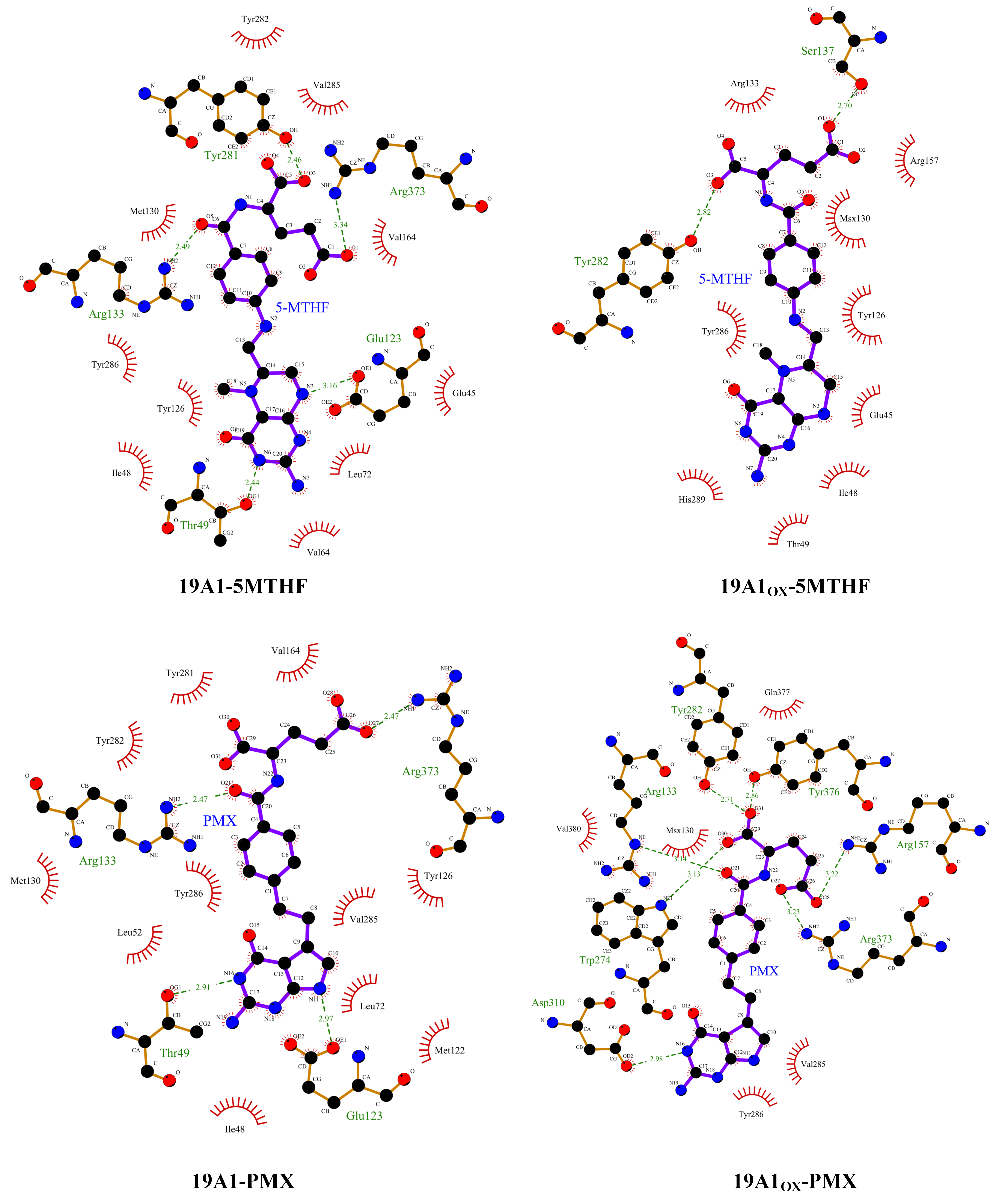 Biomolecules 15 00773 g006