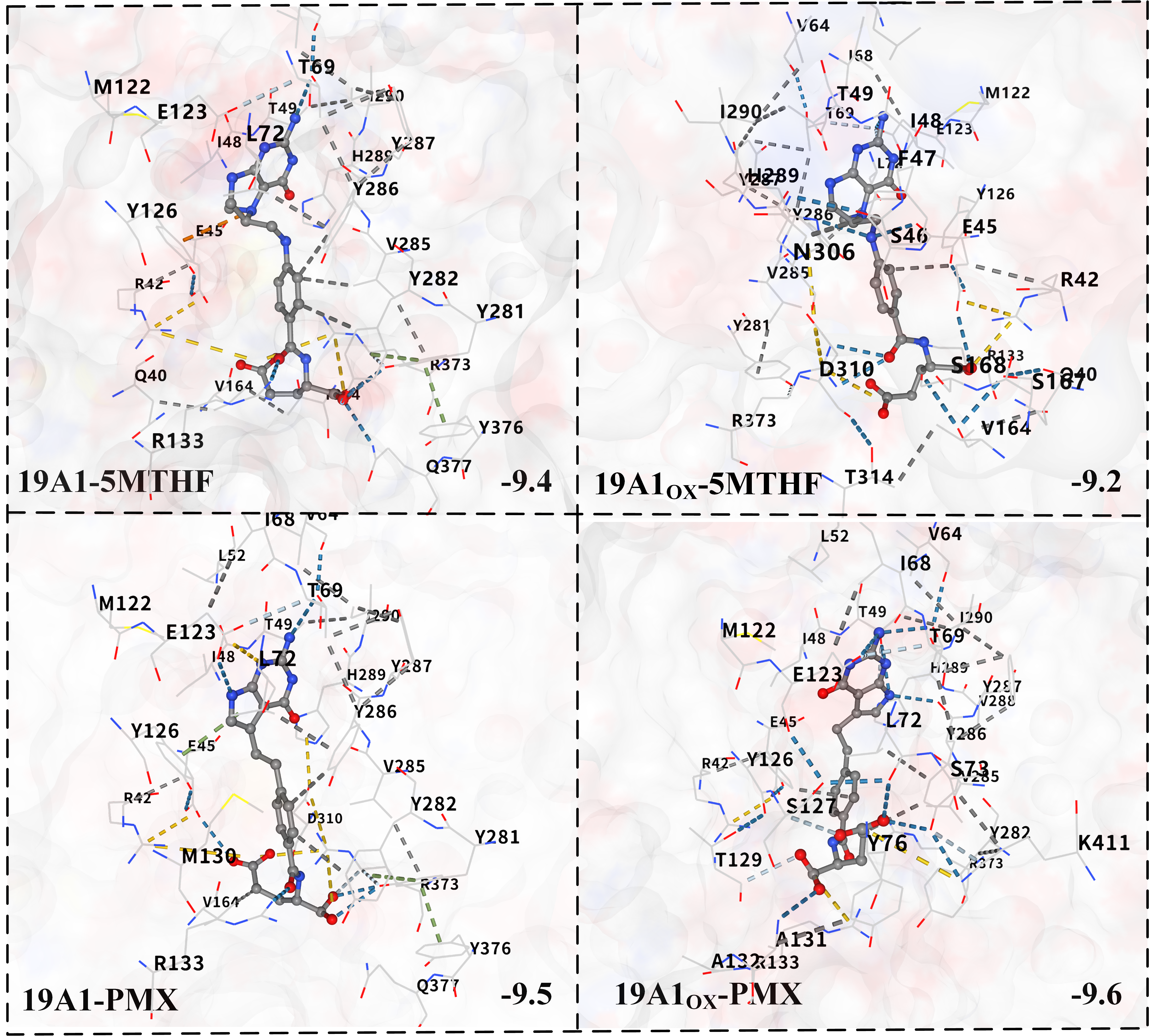 Biomolecules 15 00773 g008
