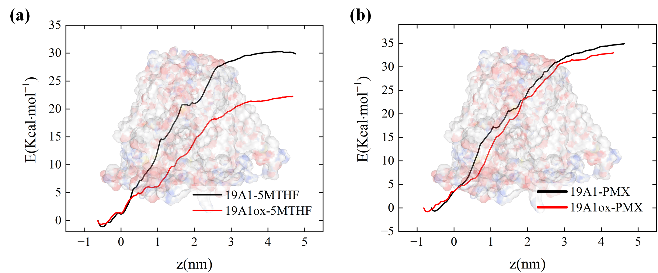 Biomolecules 15 00773 g010