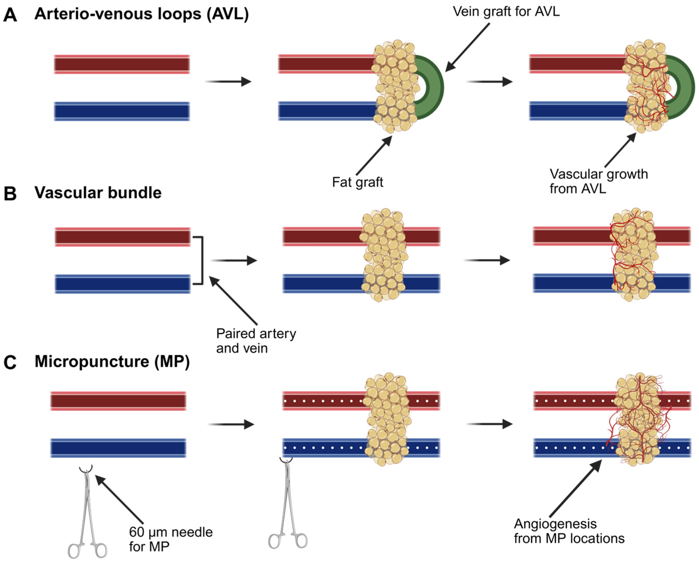 Biomolecules 15 00780 g005