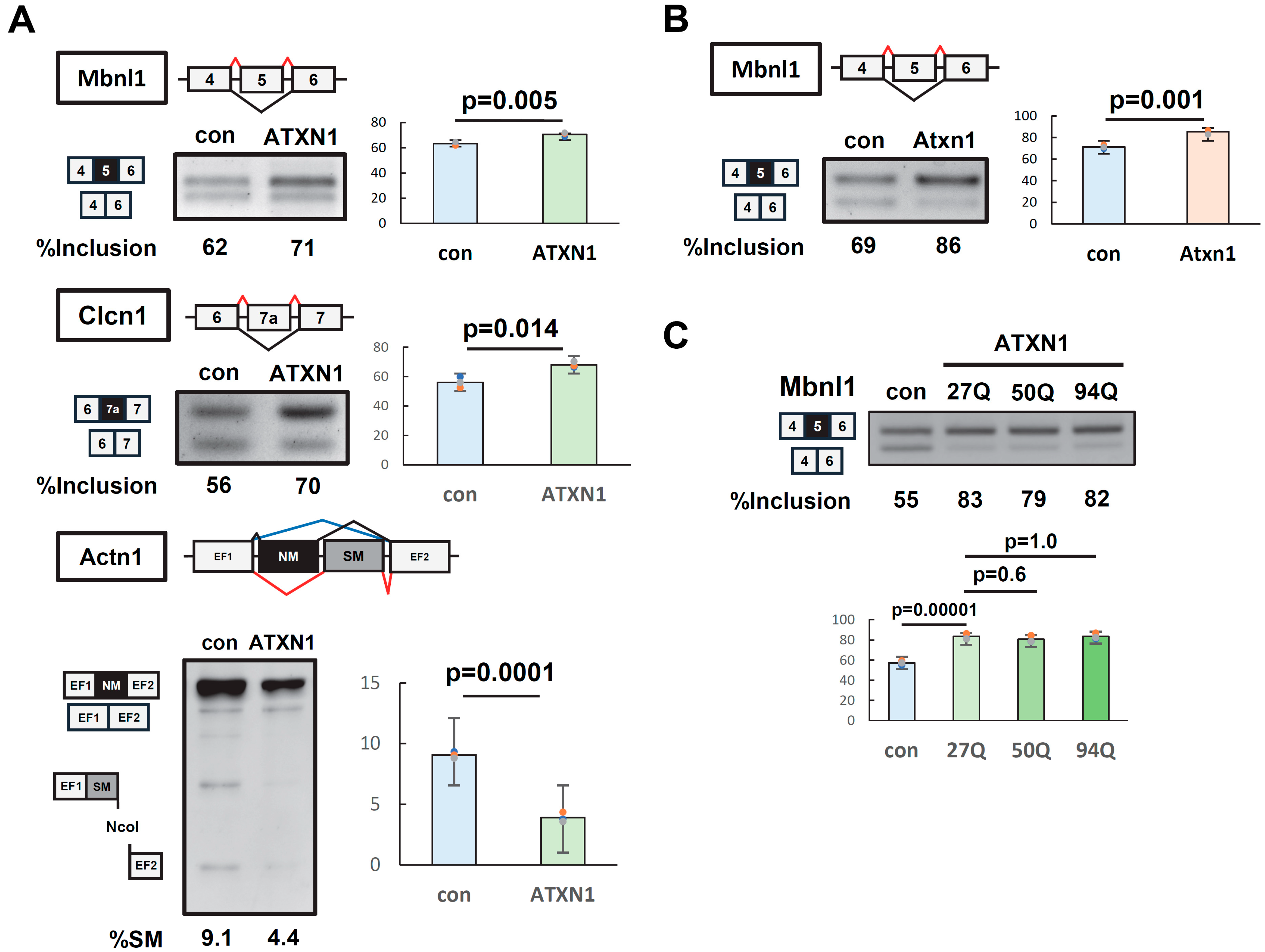 Biomolecules 15 00782 g001