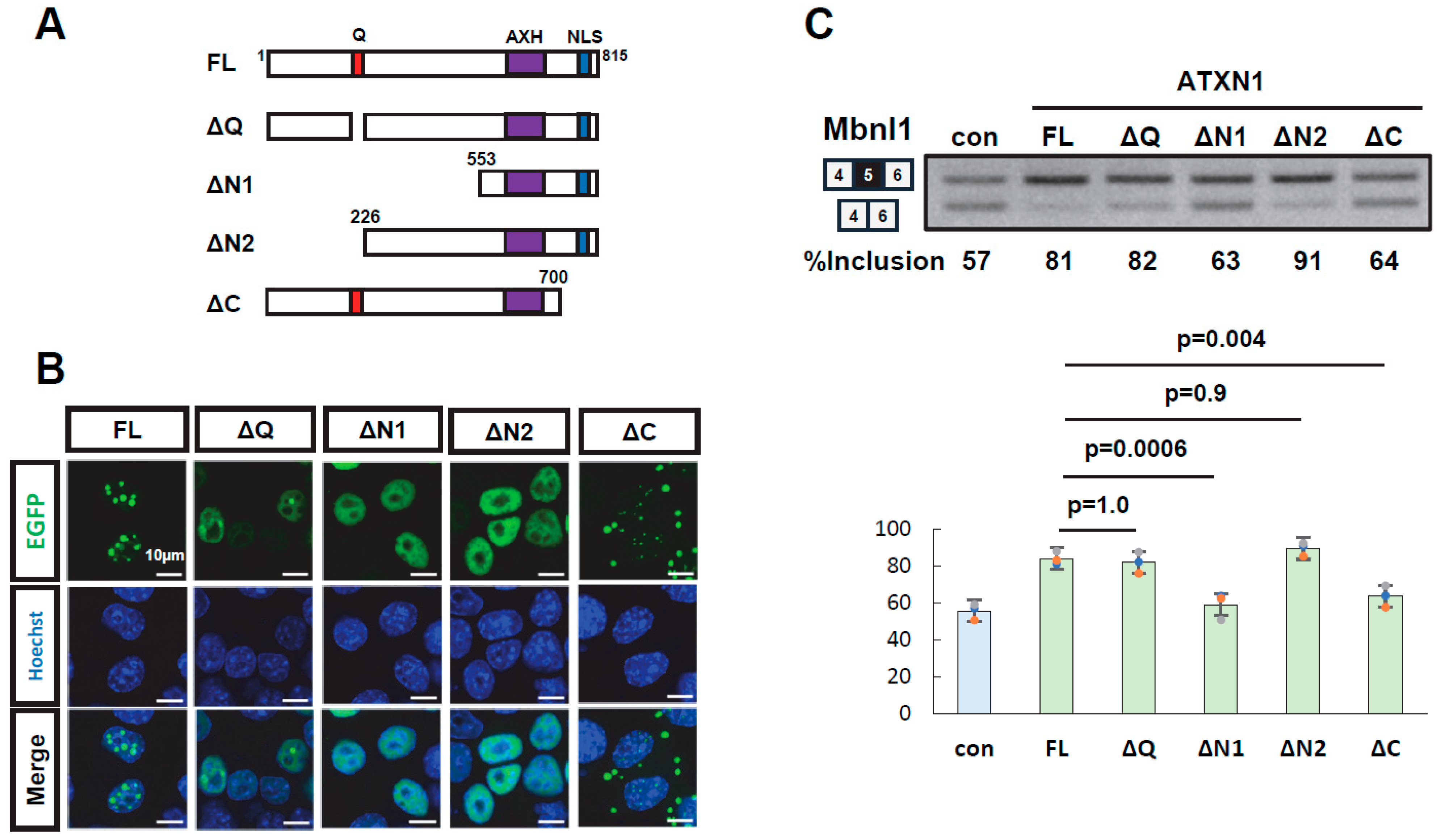 Biomolecules 15 00782 g002