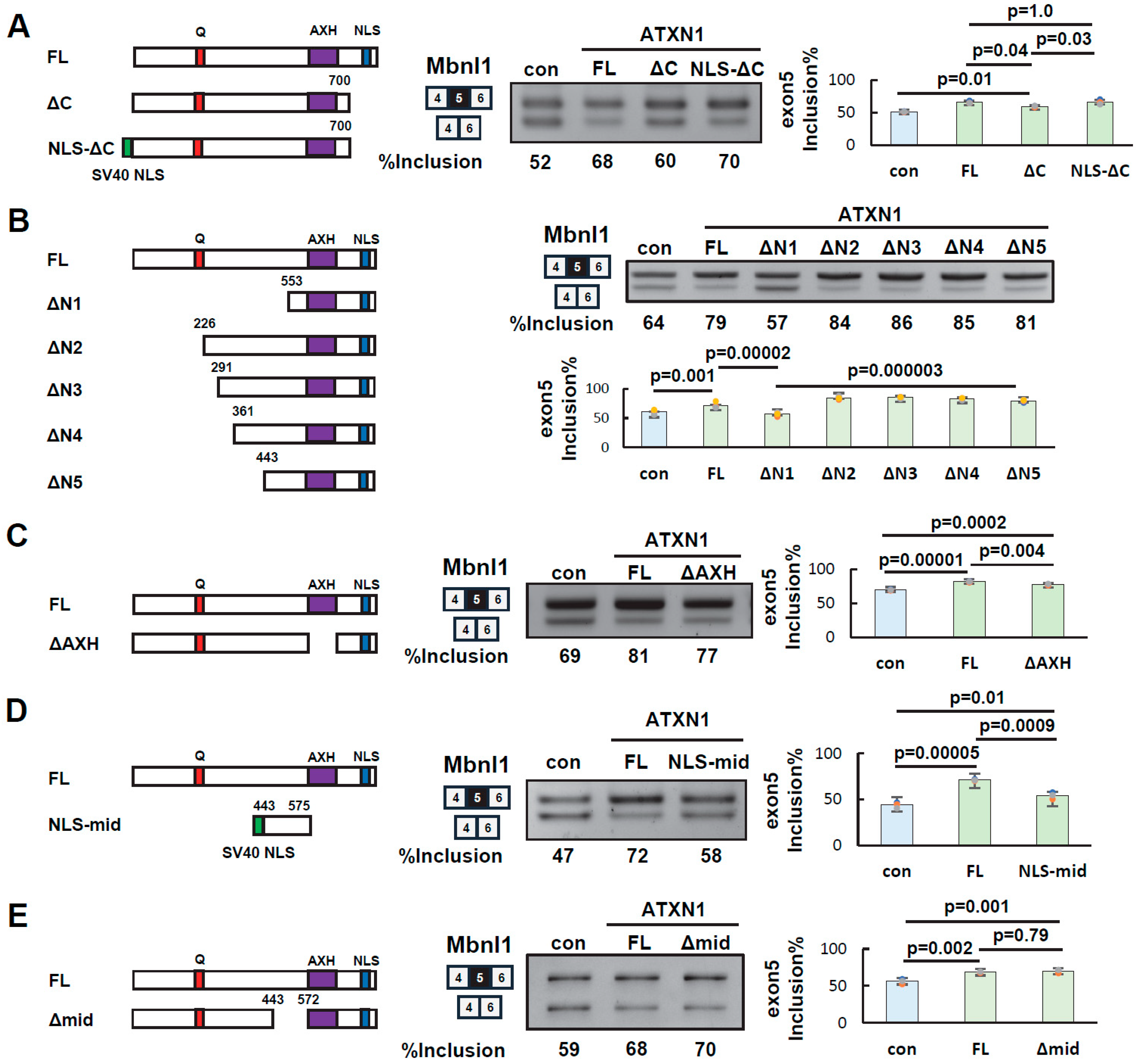 Biomolecules 15 00782 g003