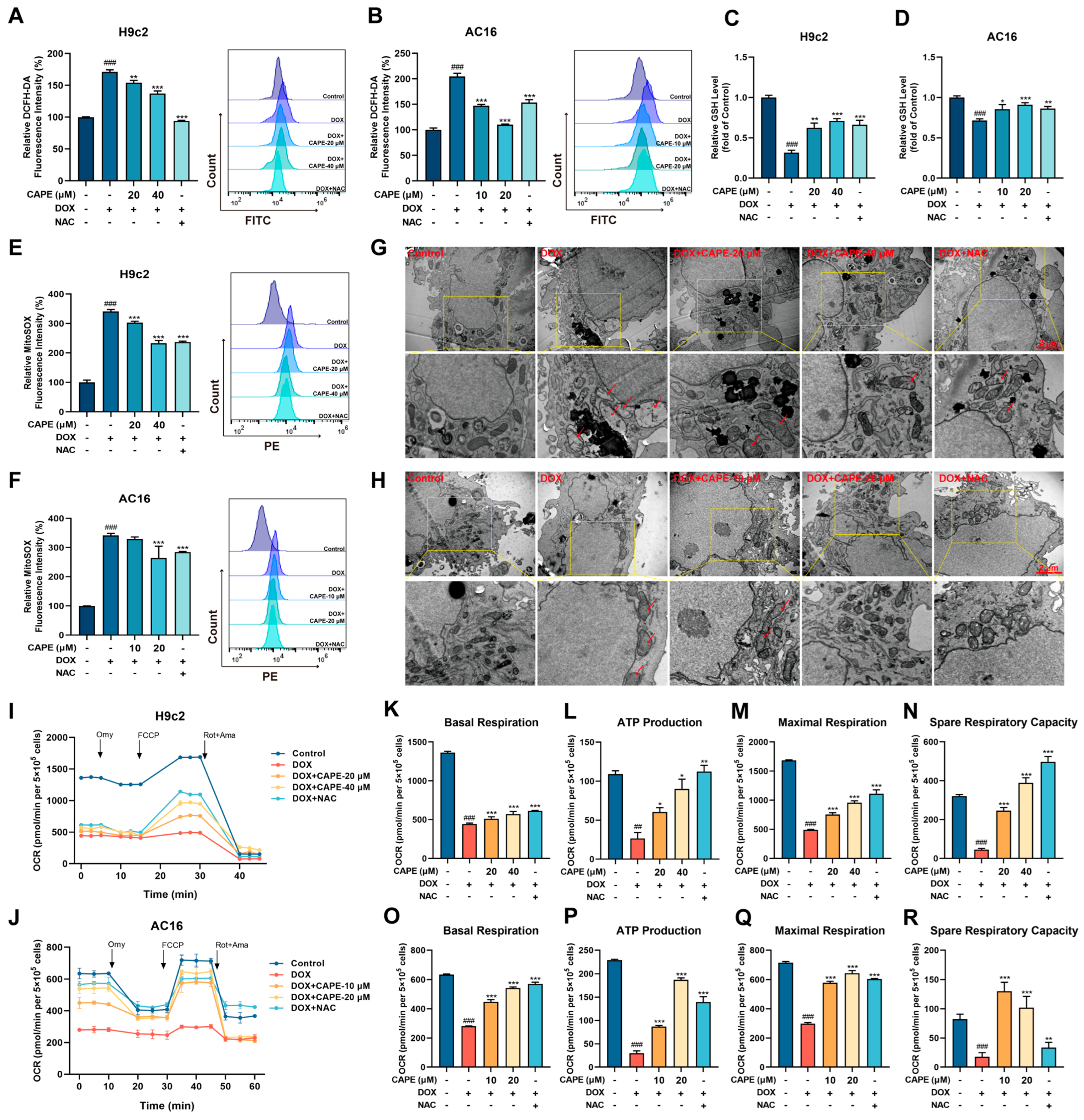 Biomolecules 15 00783 g004