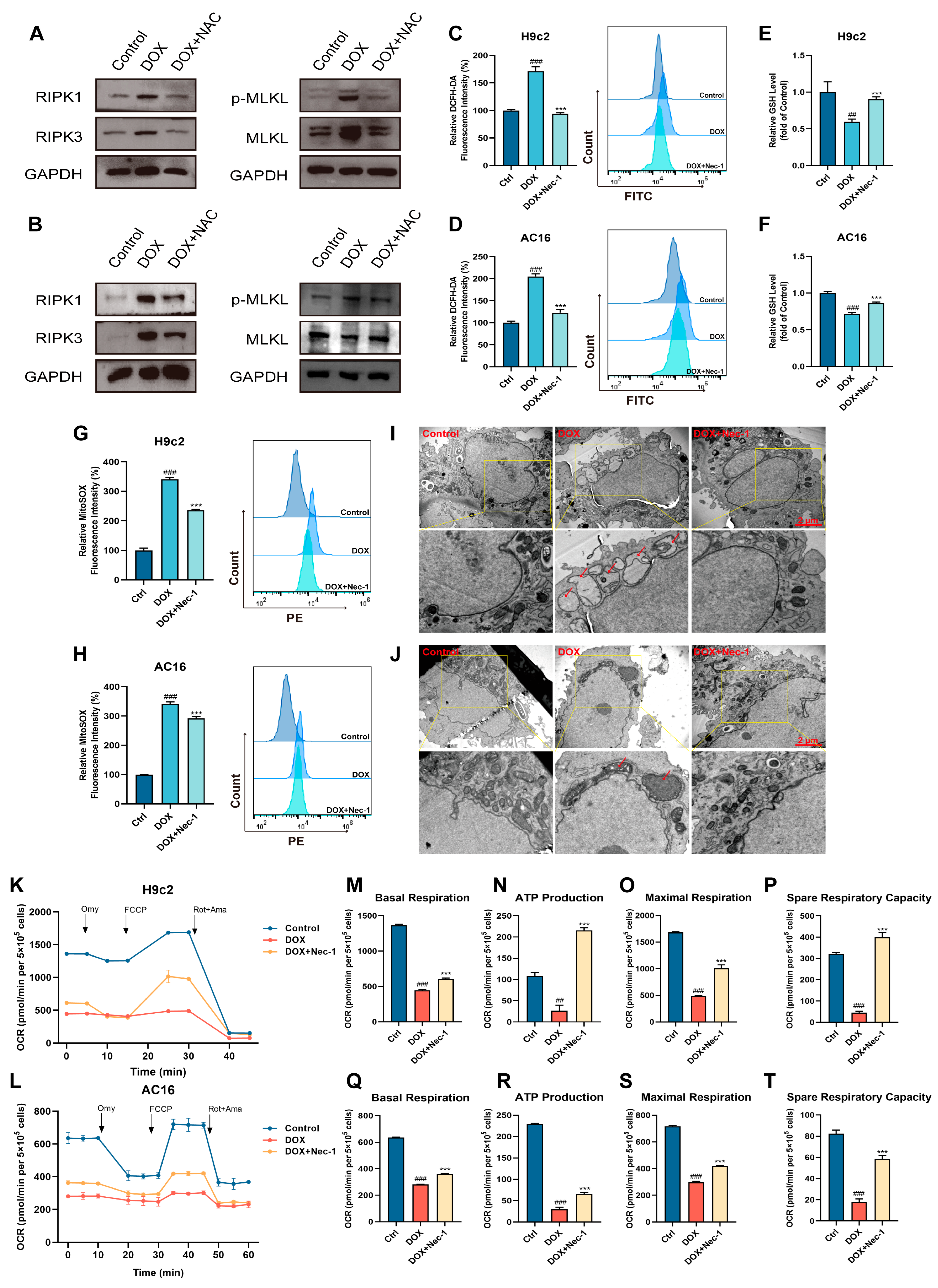 Biomolecules 15 00783 g006