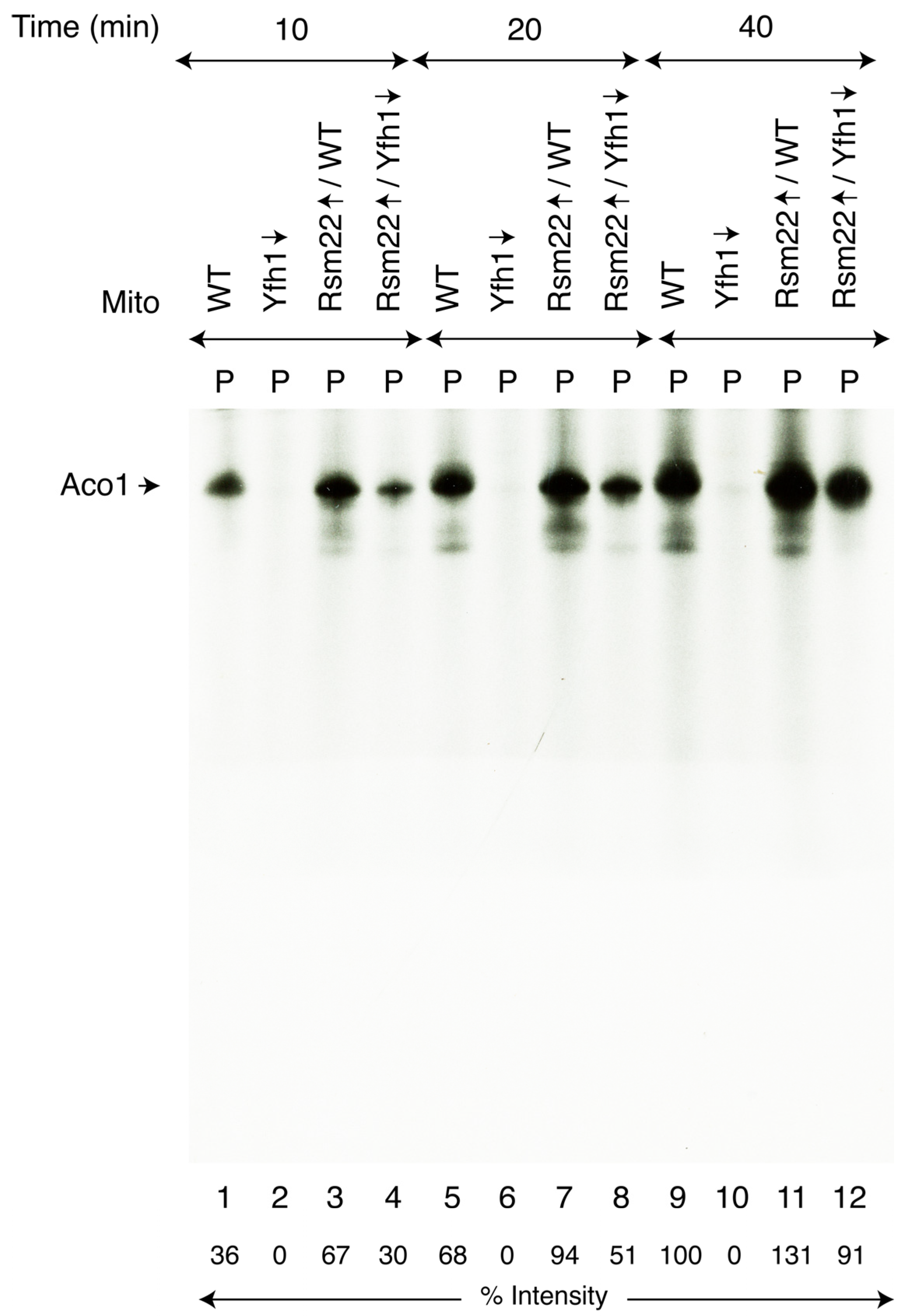Biomolecules 15 00785 g003