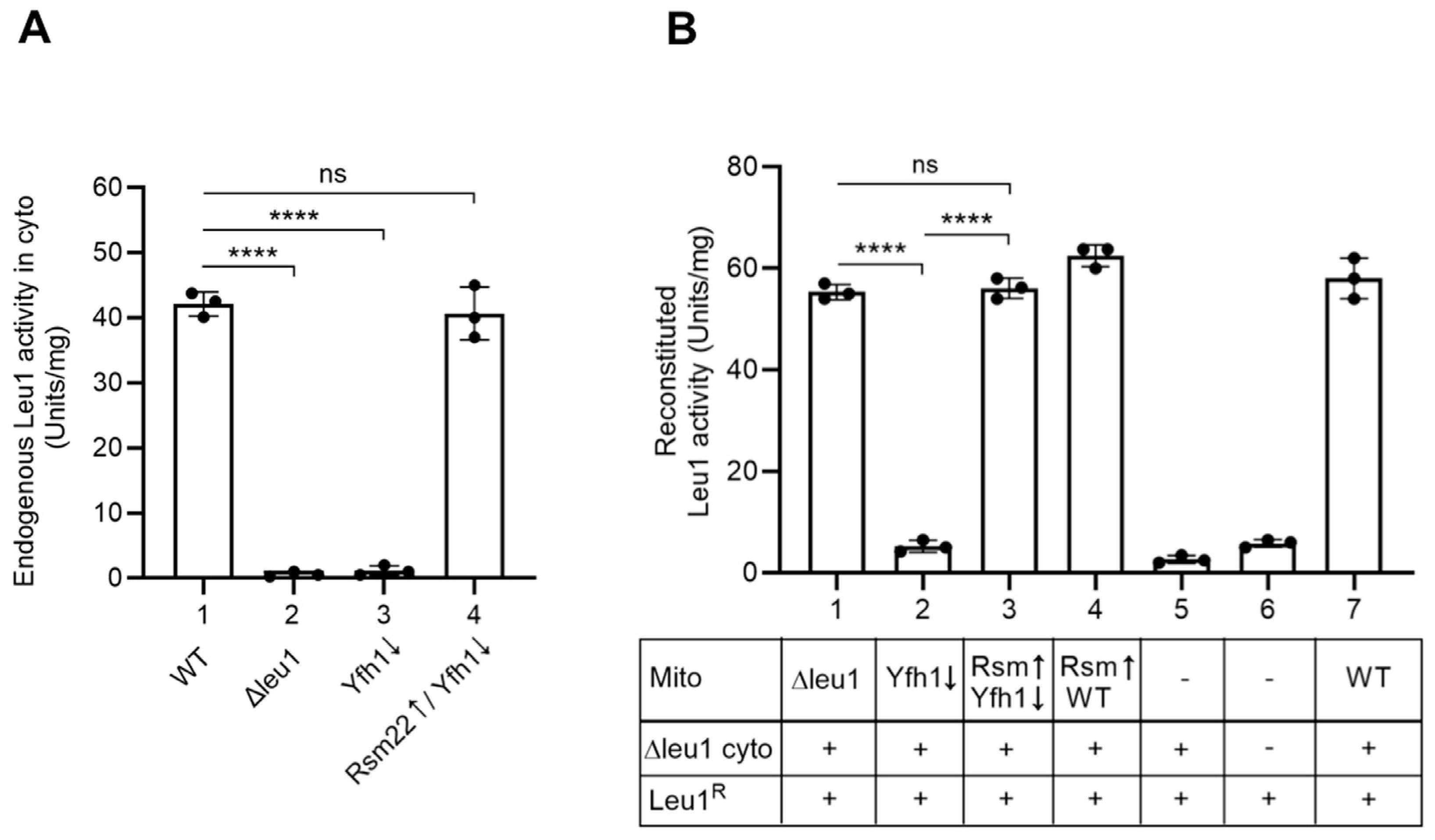 Biomolecules 15 00785 g007