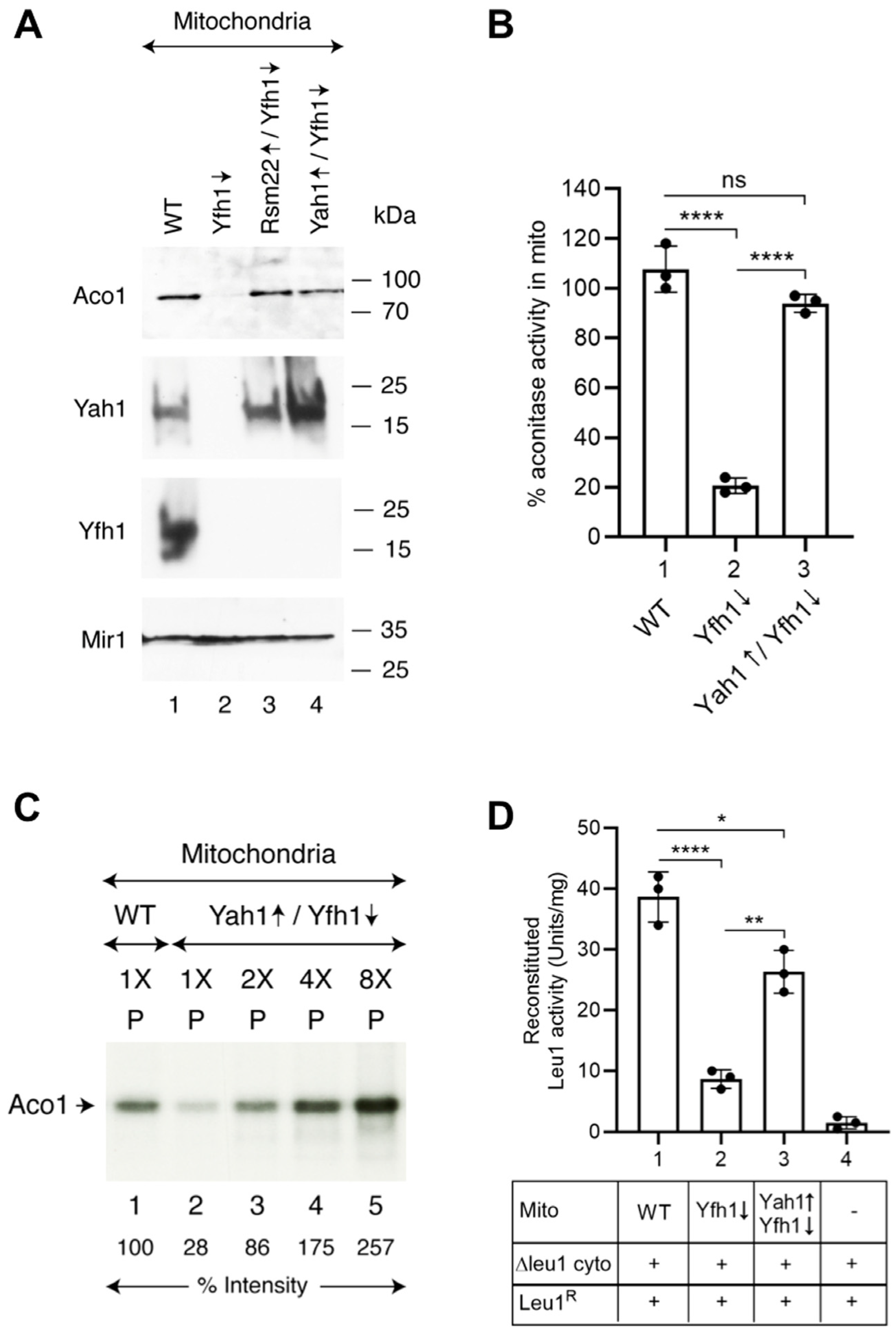 Biomolecules 15 00785 g008
